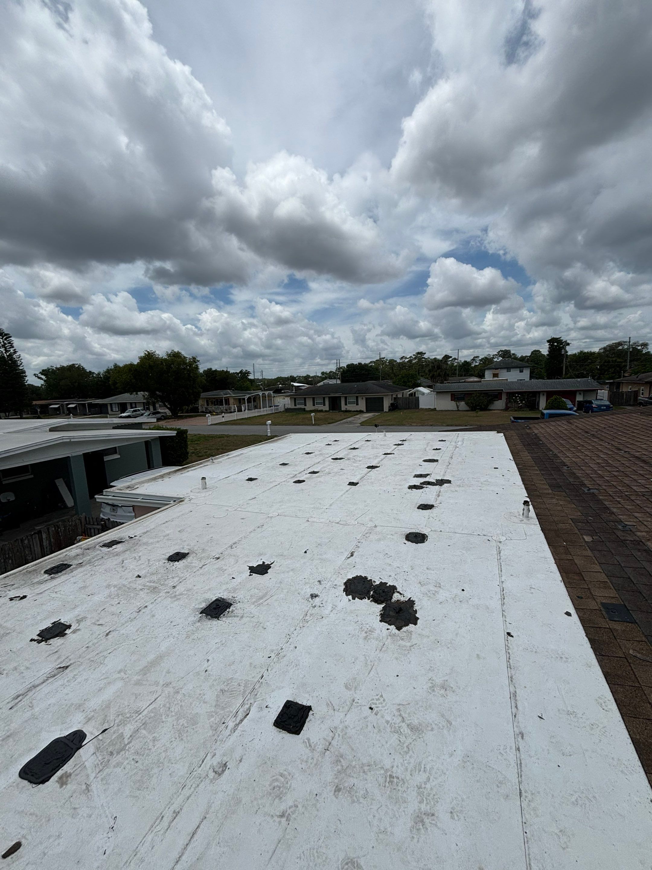  Modified Bitumen Membrane by Reimagine Roofing