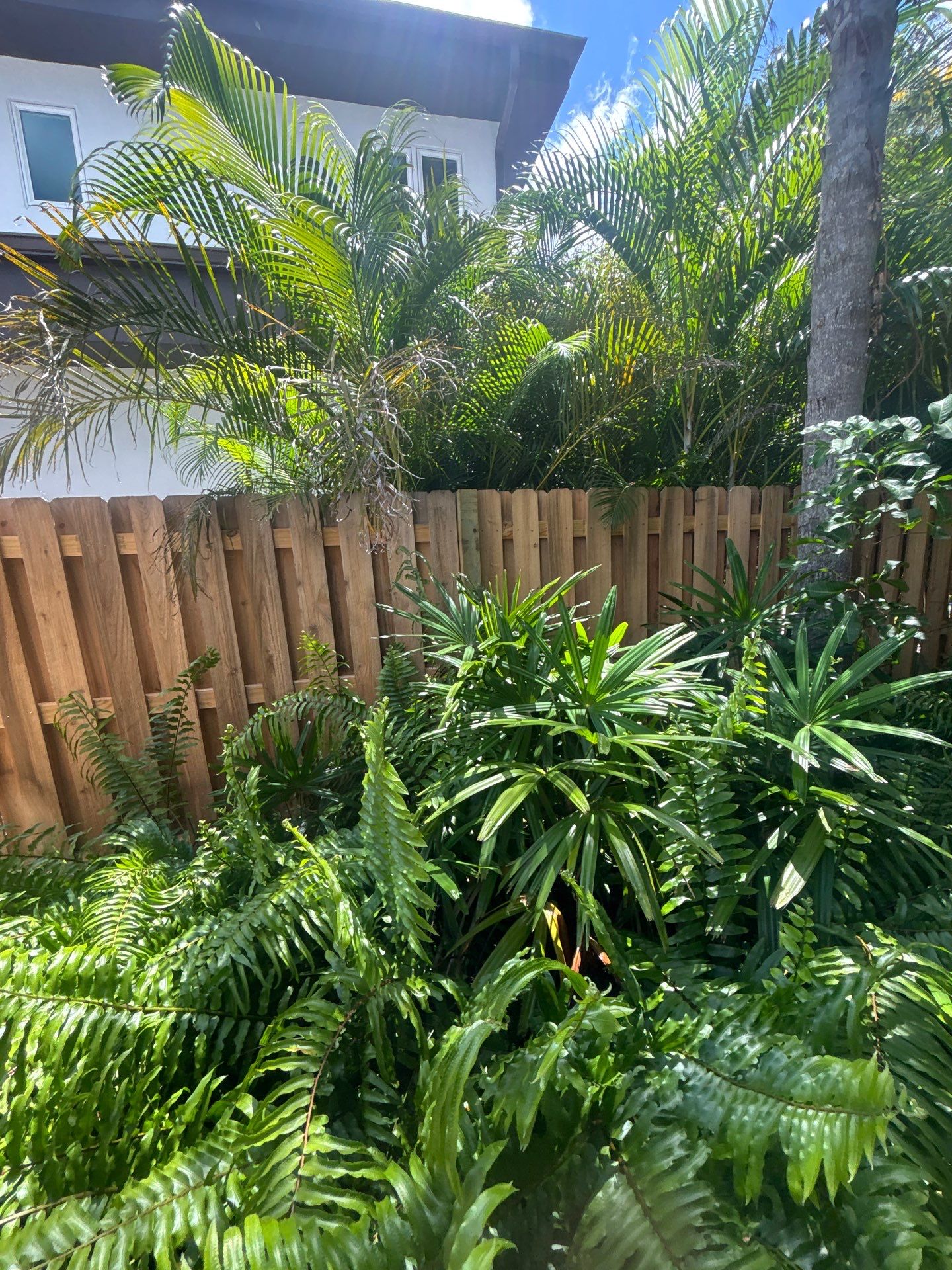 1824 Magnolia St  by H&Y Fence