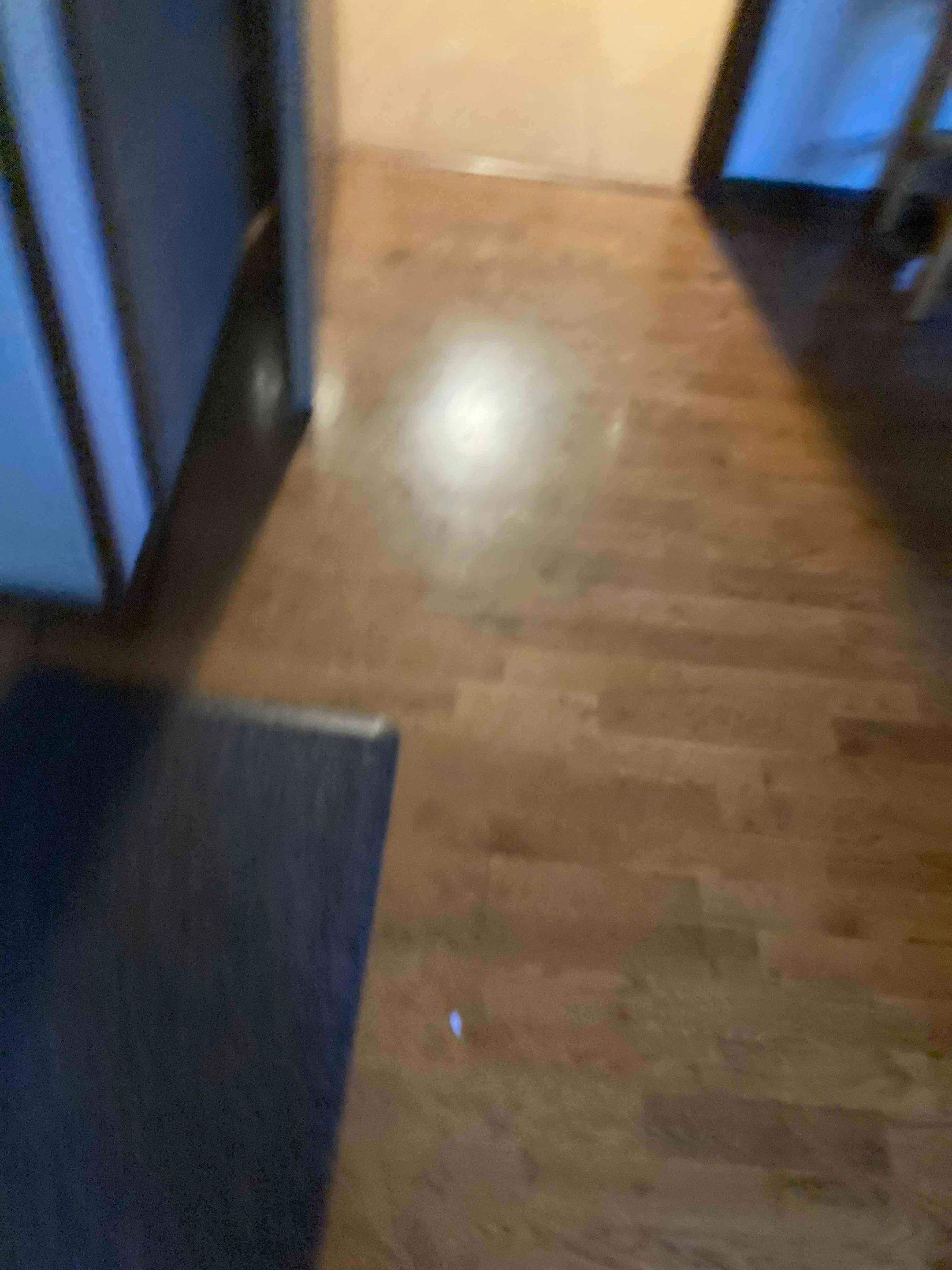 Mold Remediation using Containment by Accountable Home Services