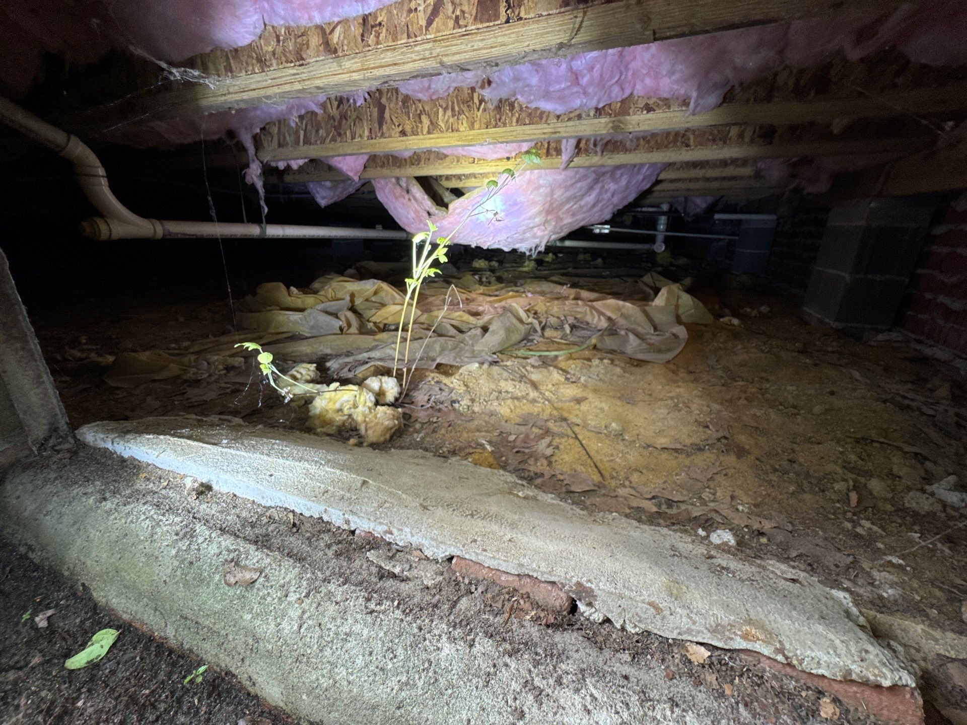 Project in Suffolk by Patriot Crawl Space Repairs