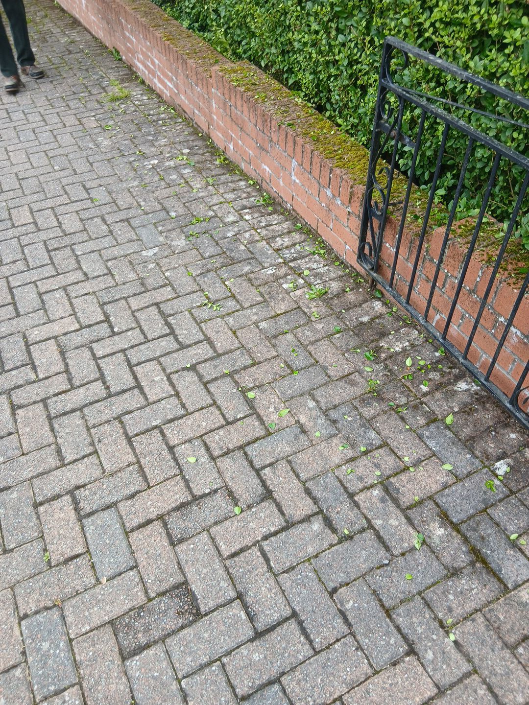 Jetwash in Carluke by EZXCo Ltd