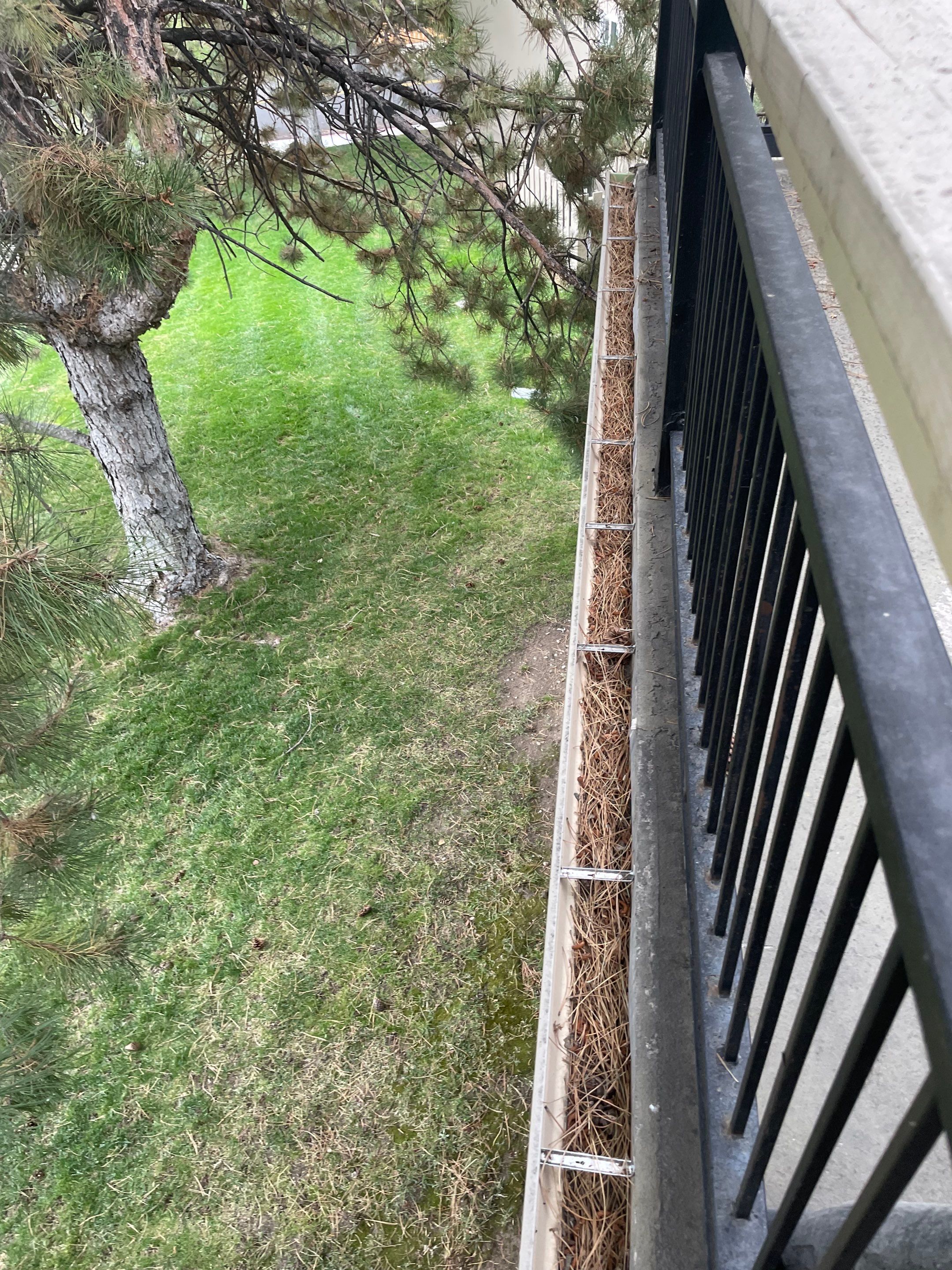 Commercial gutter cleaning Reno before photo with filled gutters