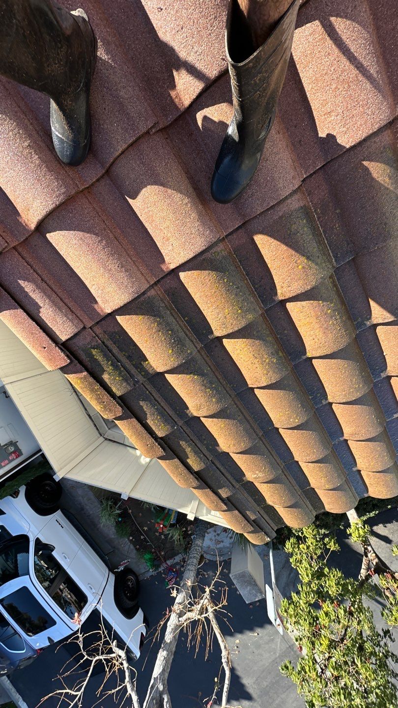 Rancho Santa Margarita Roof Washing by Property Cleaning Experts, LLC
