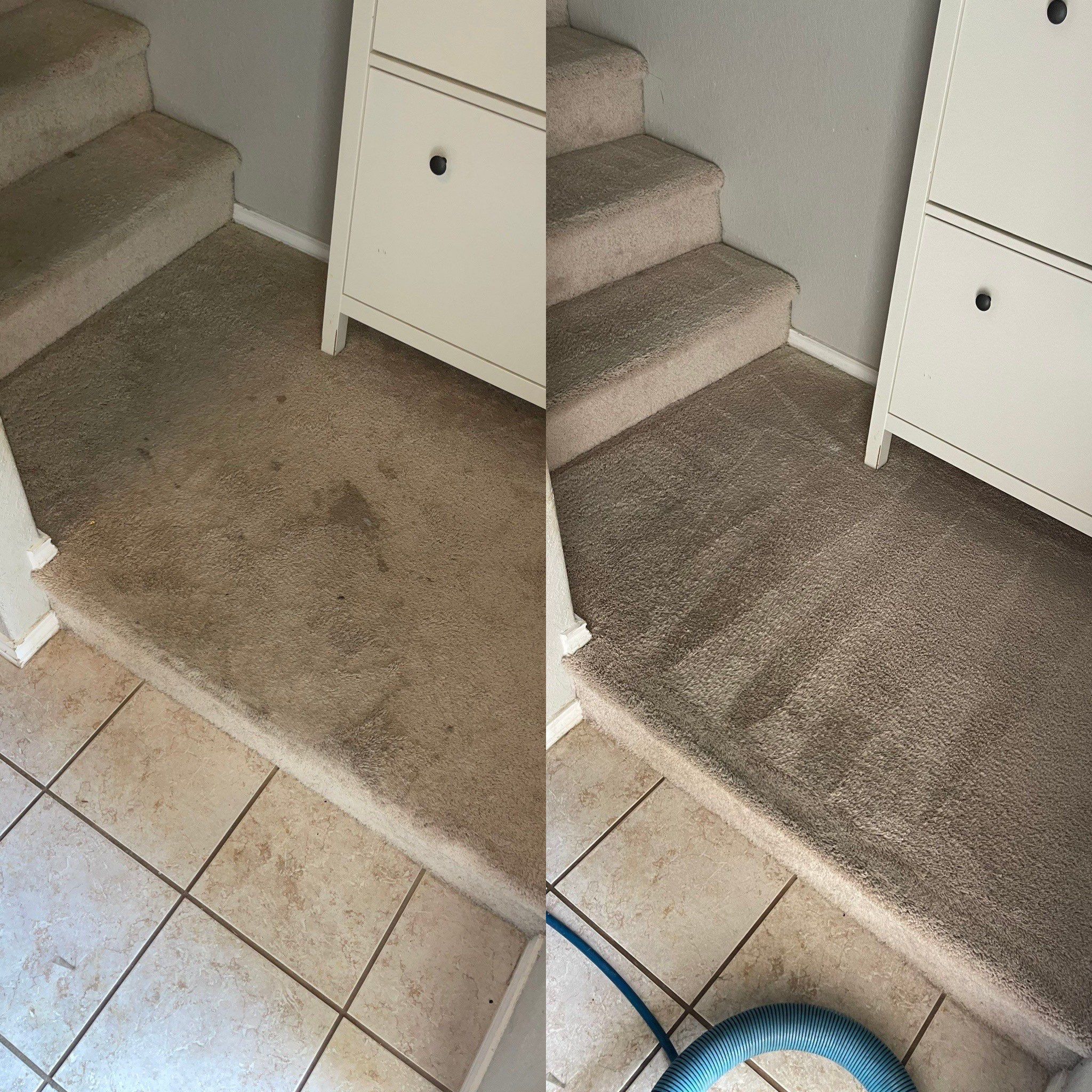 the service involves deep cleaning of carpeted stairs and adjoining tile surfaces removing dirt and stains for a fresh appearance