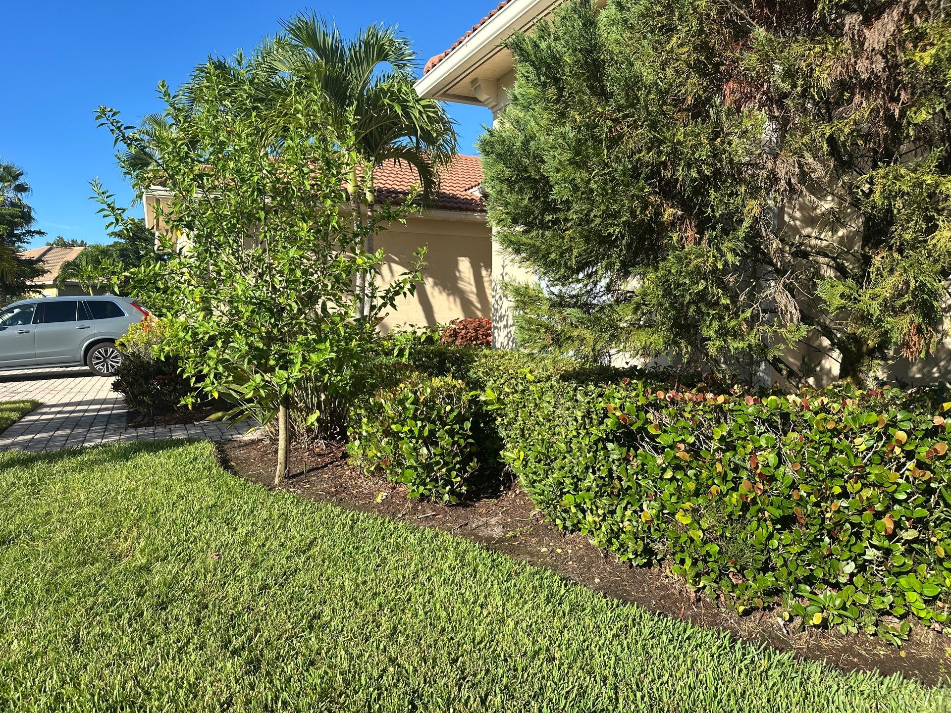 From Overgrown to Picture-Perfect - Stuart Refresh by Alpha Zeta Enterprises Inc