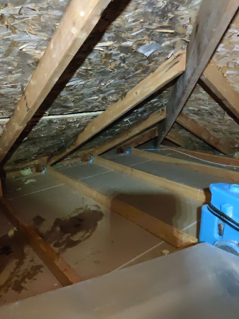Mold Remediation Cleanup in Attic by Accountable Home Services