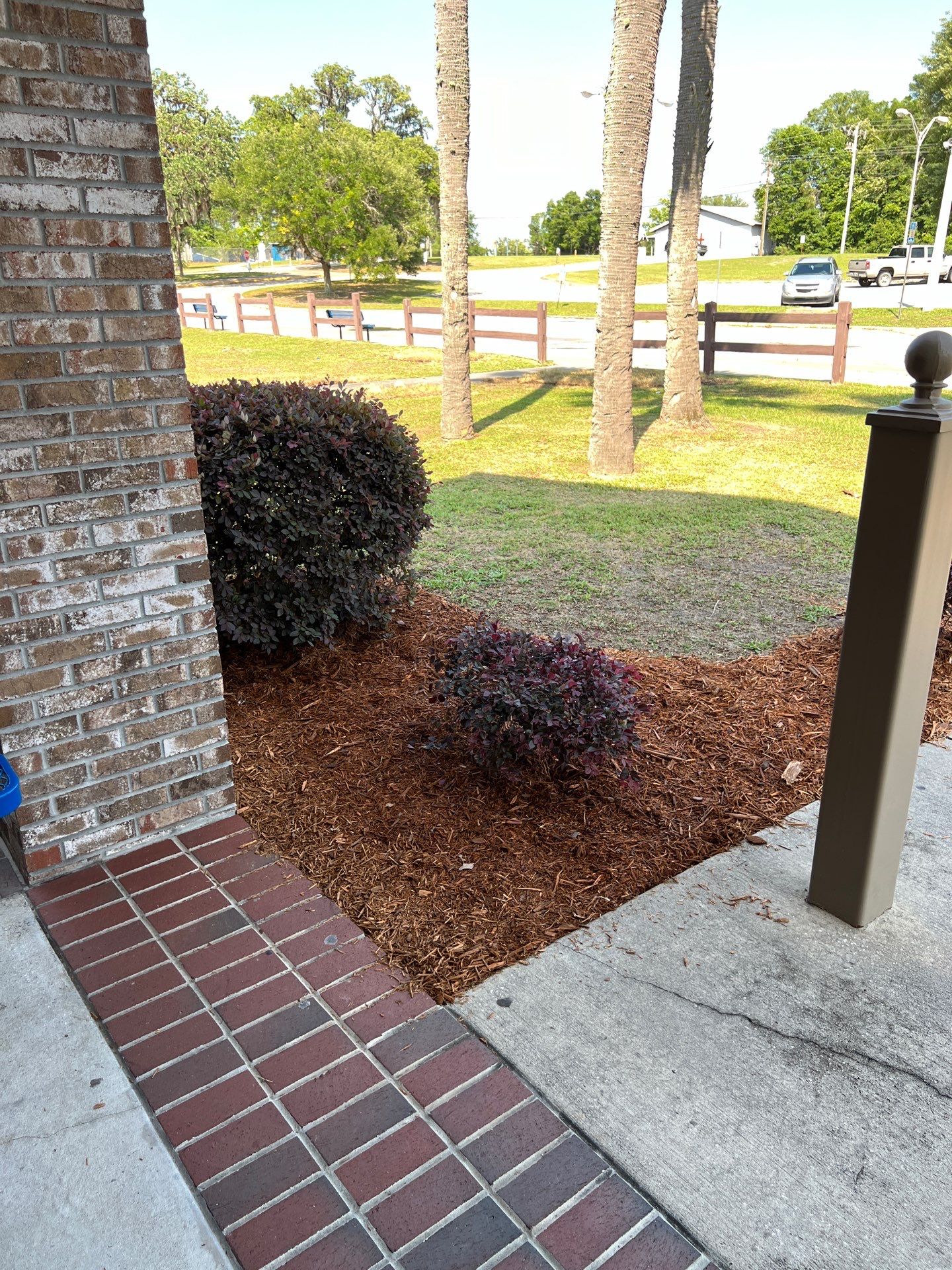 Landscape Install | Keystone Heights HS by ProGreen Services