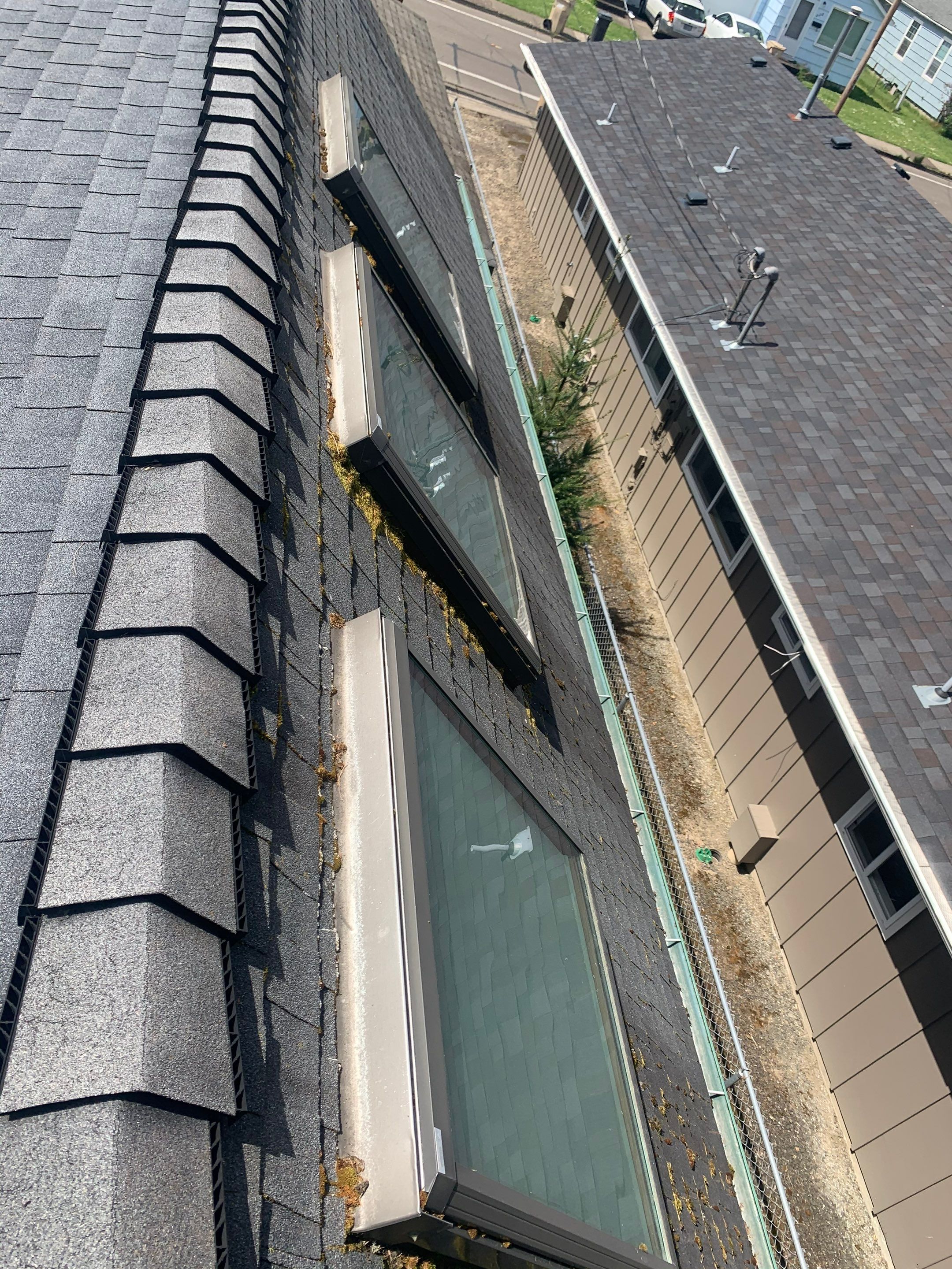 Taylor Metal Roof System Color: Vintage  by Orezona Building & Roofing Company, Inc.