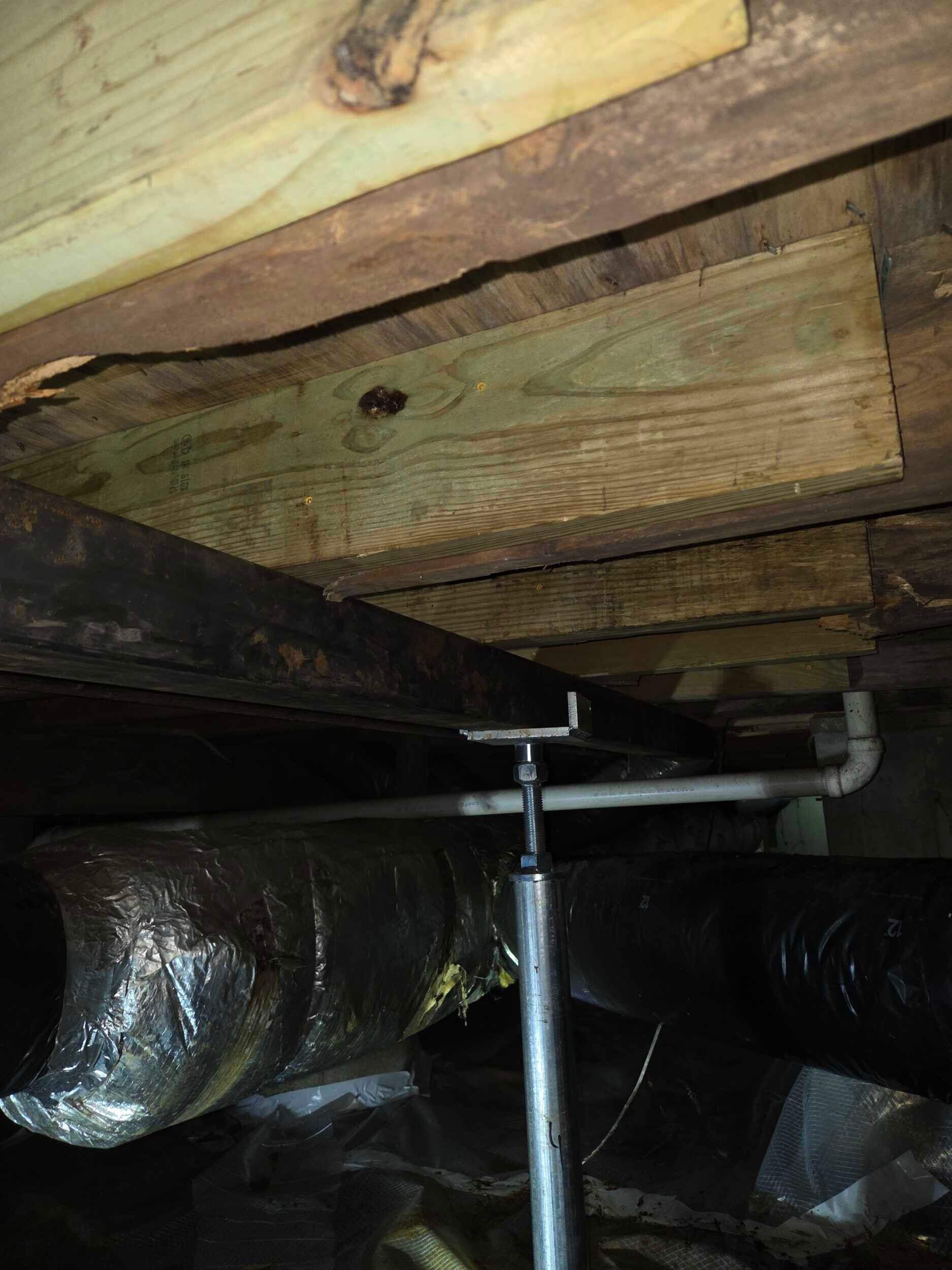 Marline D by Guardian Foundation Repair LLC