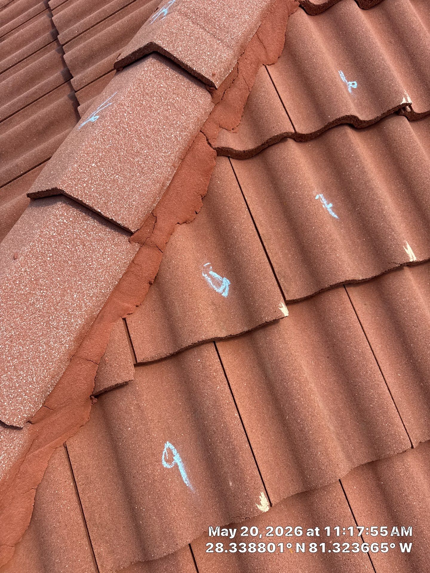 Project in Kissimmee, FL by New Horizons Roofing Inc