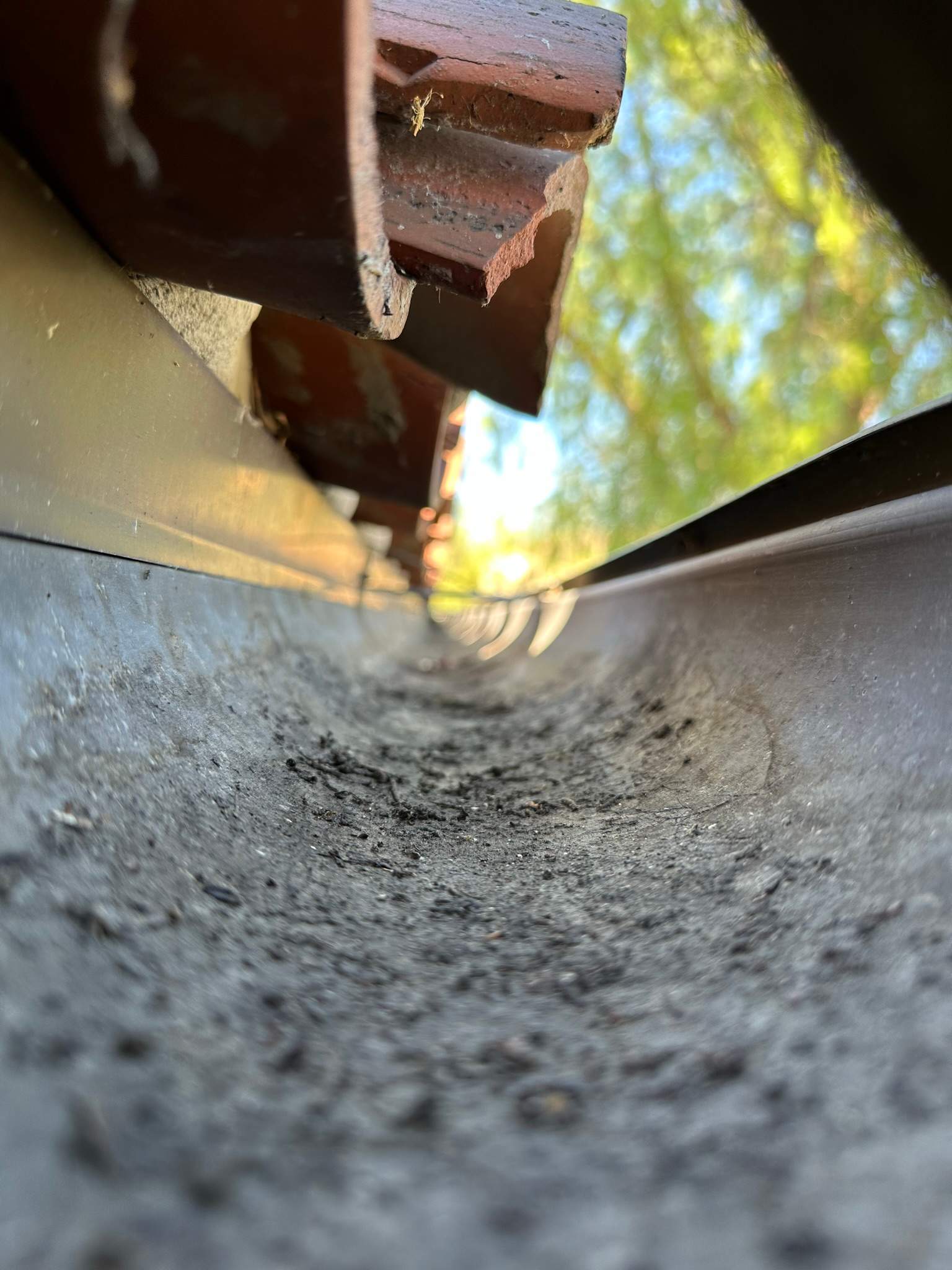 Orange County Gutter Cleaning by Property Cleaning Experts