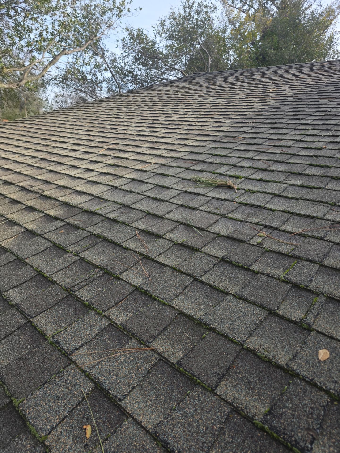 Roof Rejuvenation using Roof Maxx Treatment by Roof Maxx of Folsom