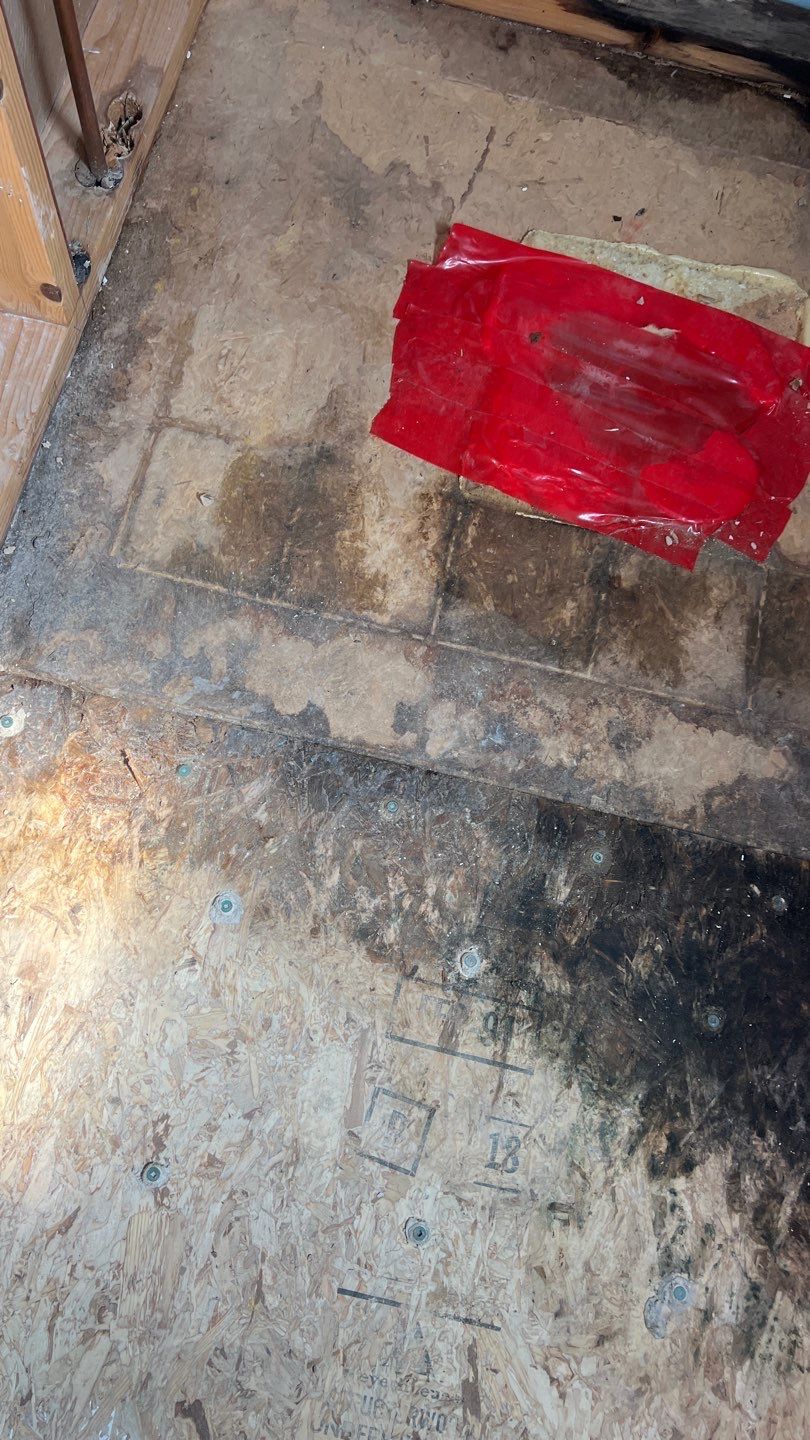 Water Damage and Mold Remediation by Accountable Home Services