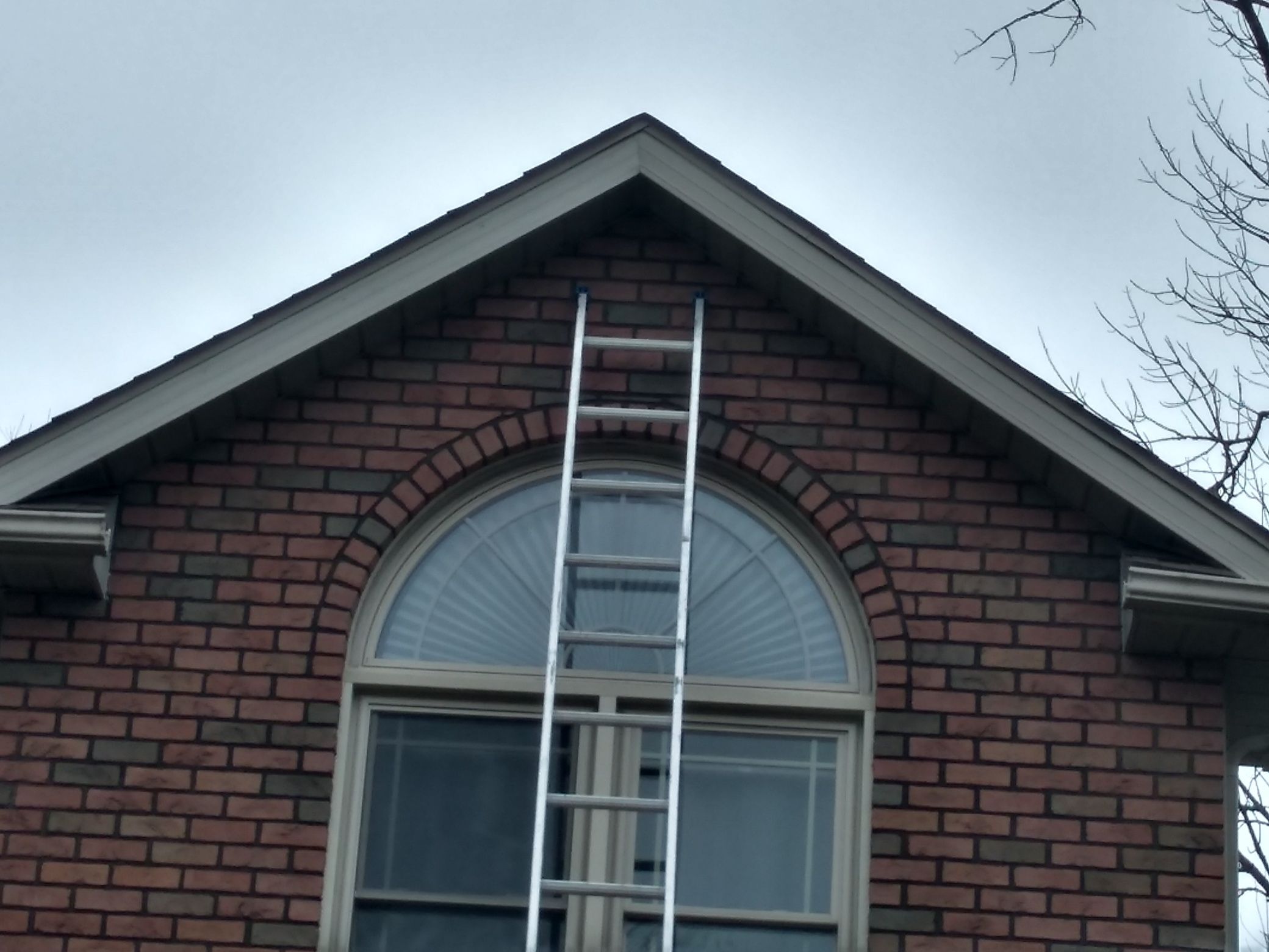 Jason Bailey by Silver Leaf Contracting 