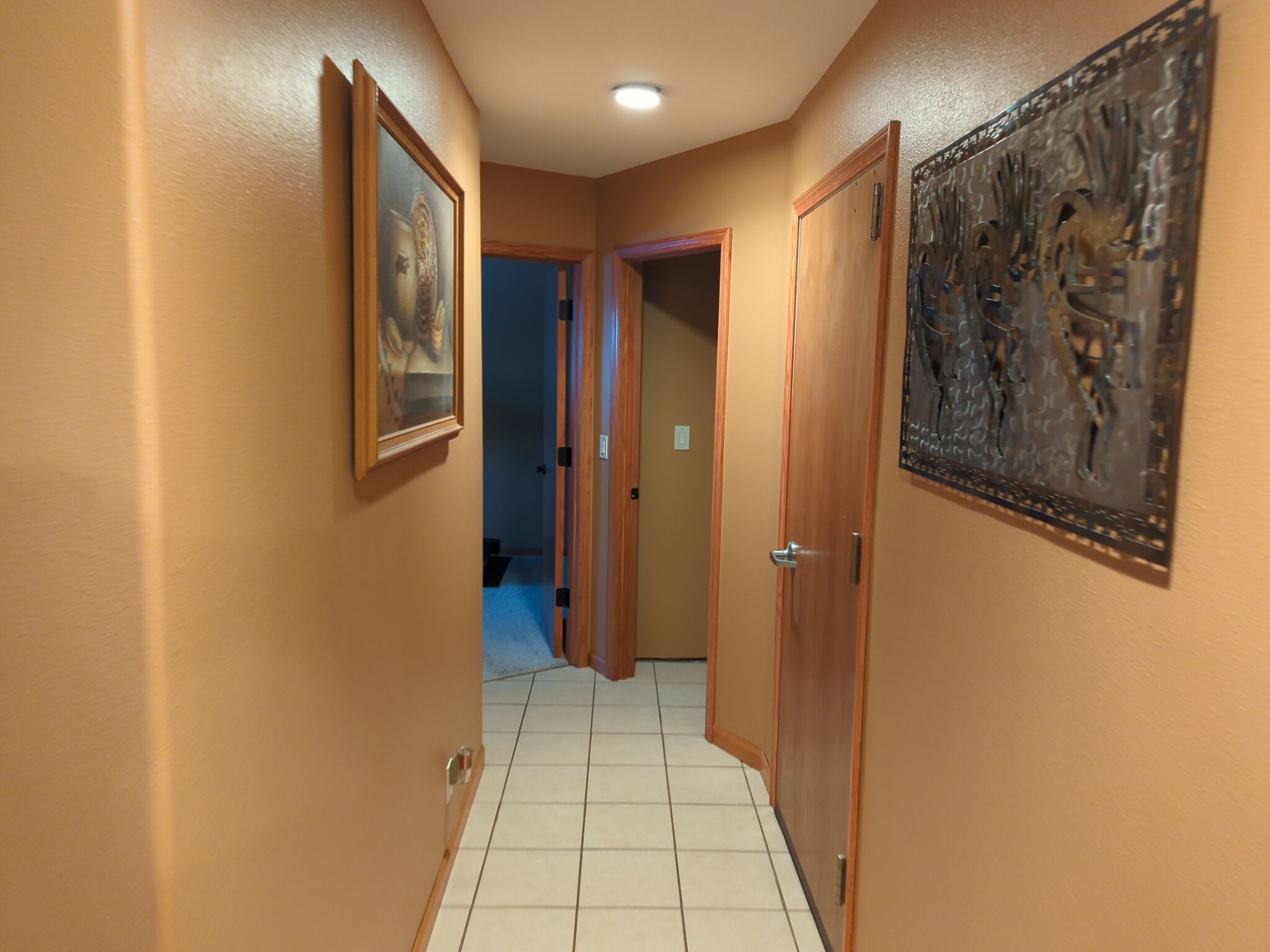 Entire Home Interior Repaint by Midnight Sun Painting