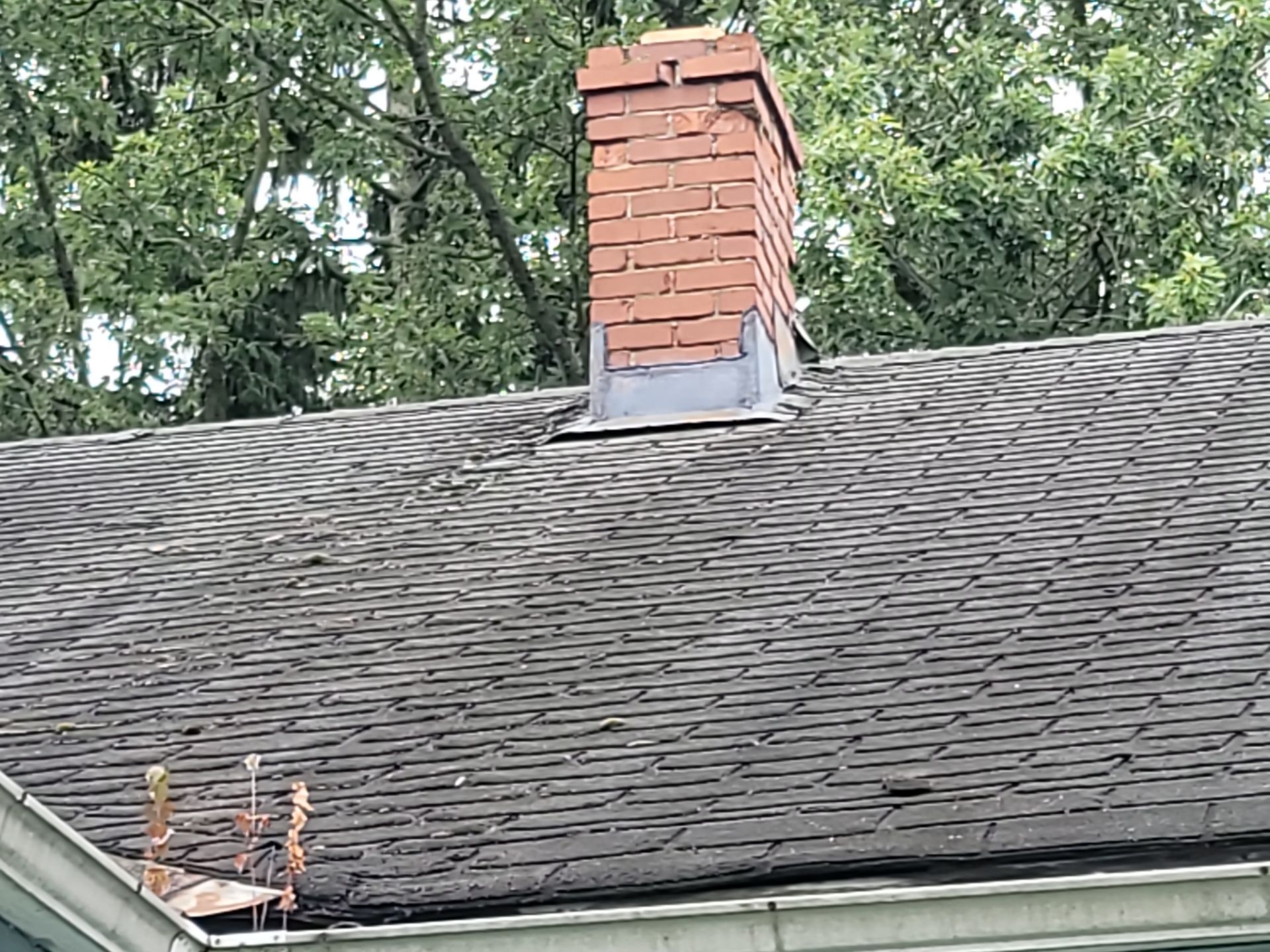 Shaun H: Atlas Pinnacle, Color, Black Shadow, Drip Edge, Color, Black by Eagle Eye Roofing