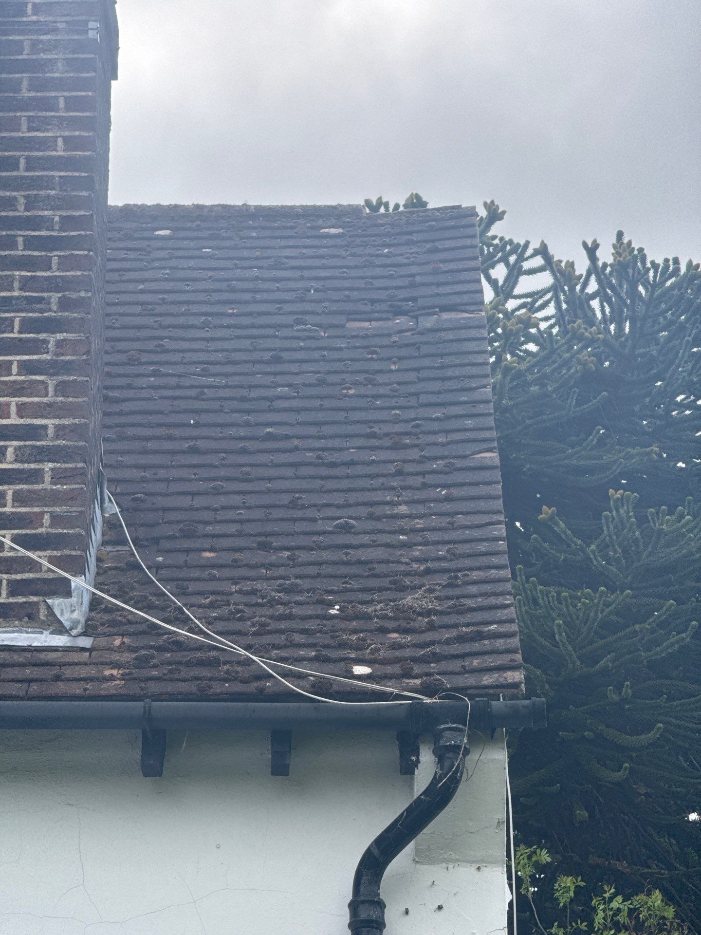 Roof Clean  - Moss Removal - Gutter Clean using Honda 15lpm Low Pressure Washing Machine by Ges Exterior Cleaning ltd