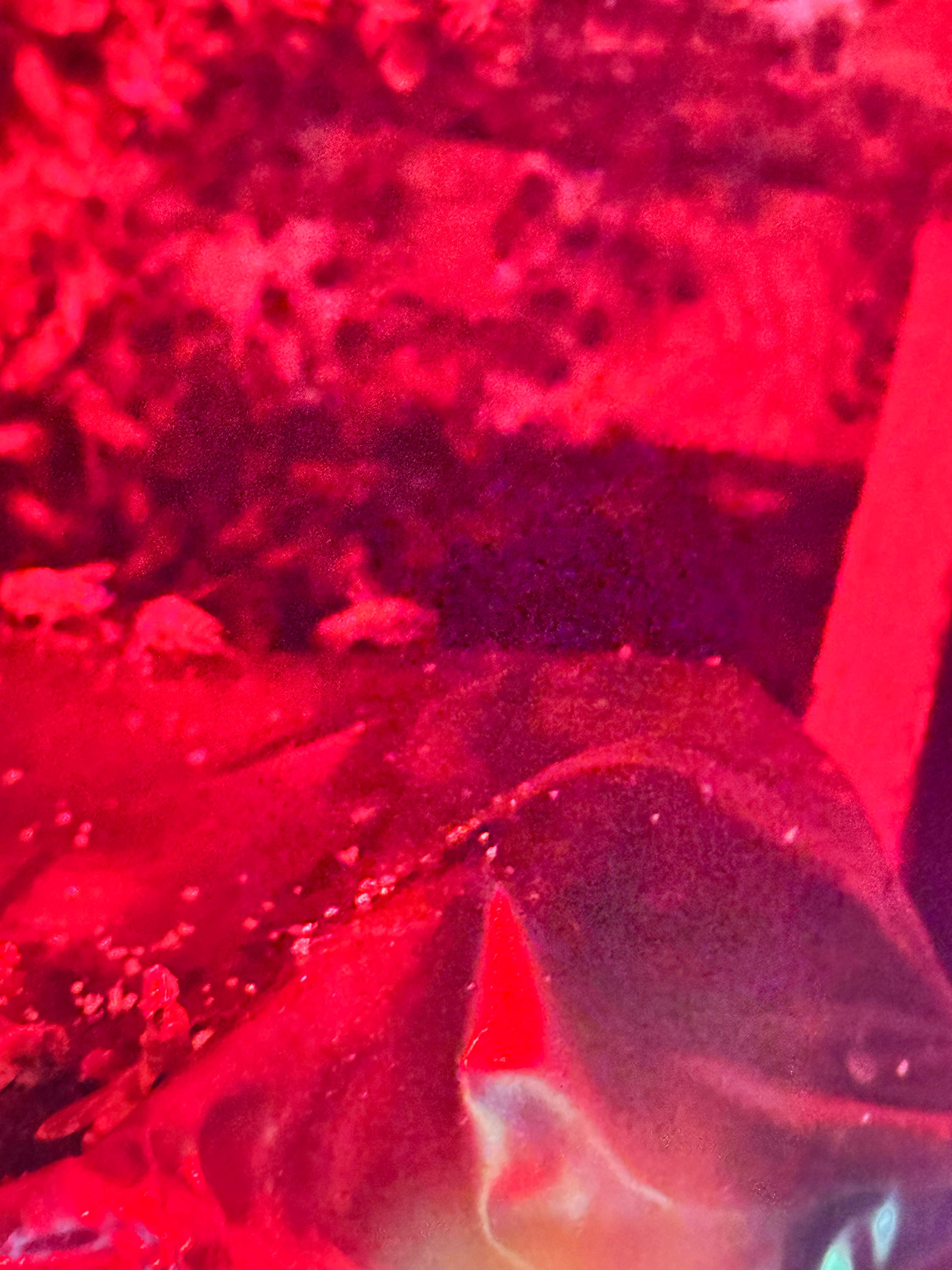 Yes, Professor. by Rockwall Honey Bee Company