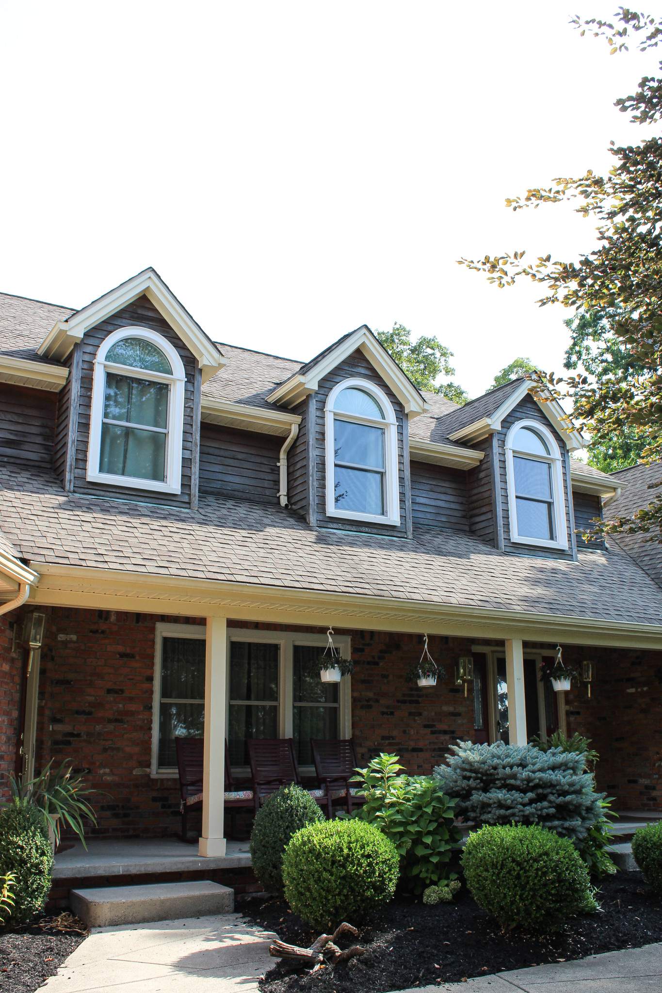Window Replacement by Ivy Lea Construction