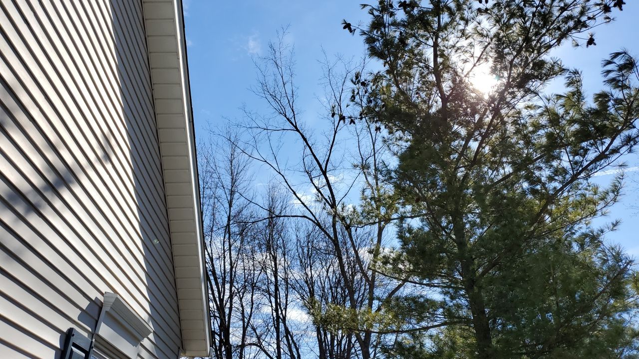 Tree Removal using Tree Removal by Mike Jones & Sons Tree Service LLC 