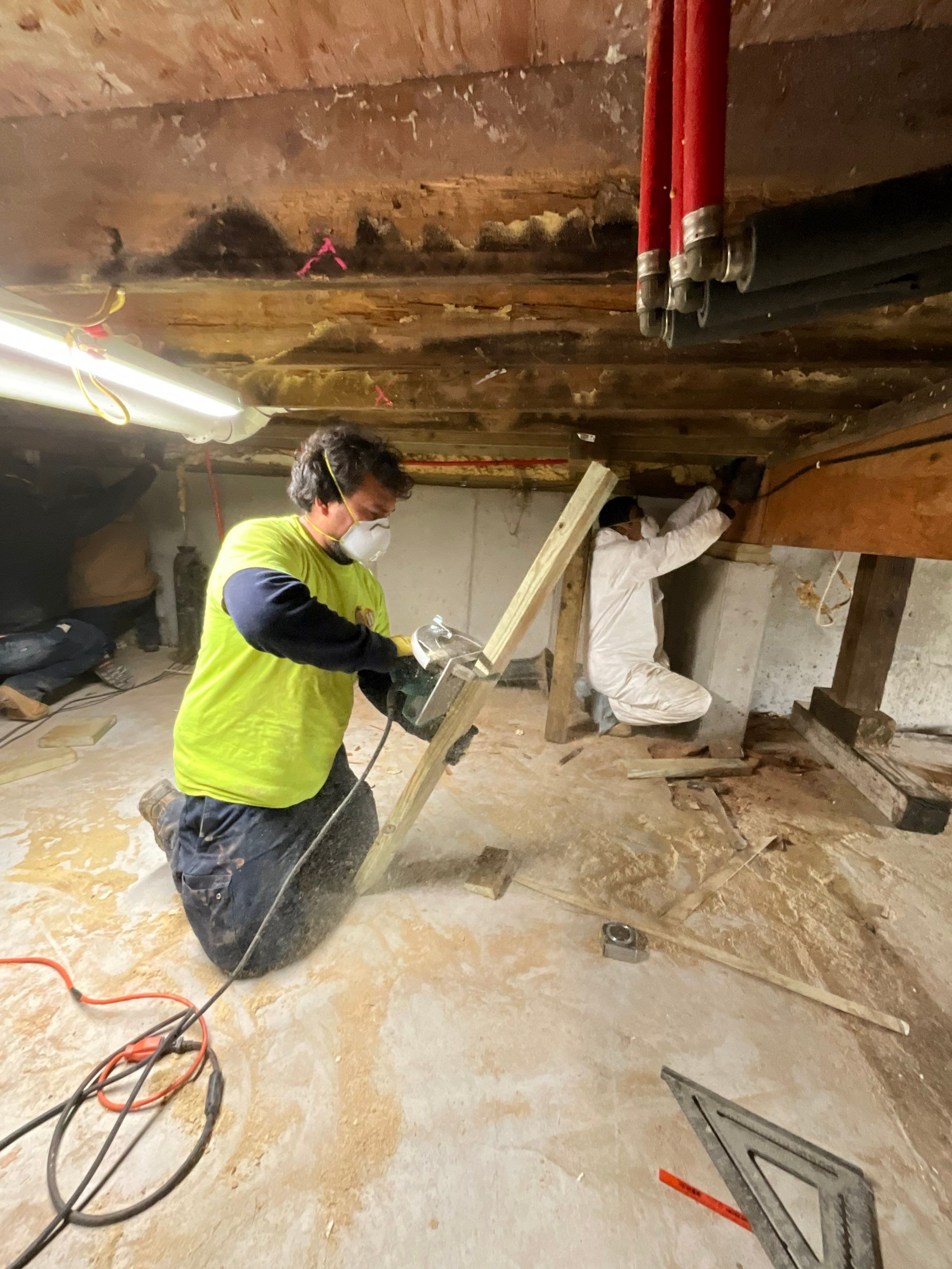 Structural Repair and Sistering of Floor Joists by A.M. Shield Waterproofing, Corp.