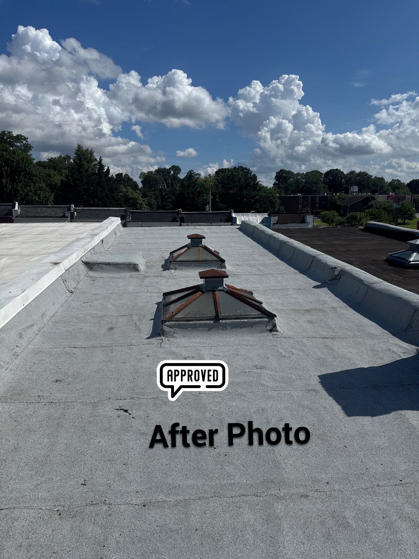 New Flat Roof by Alpha Design Services