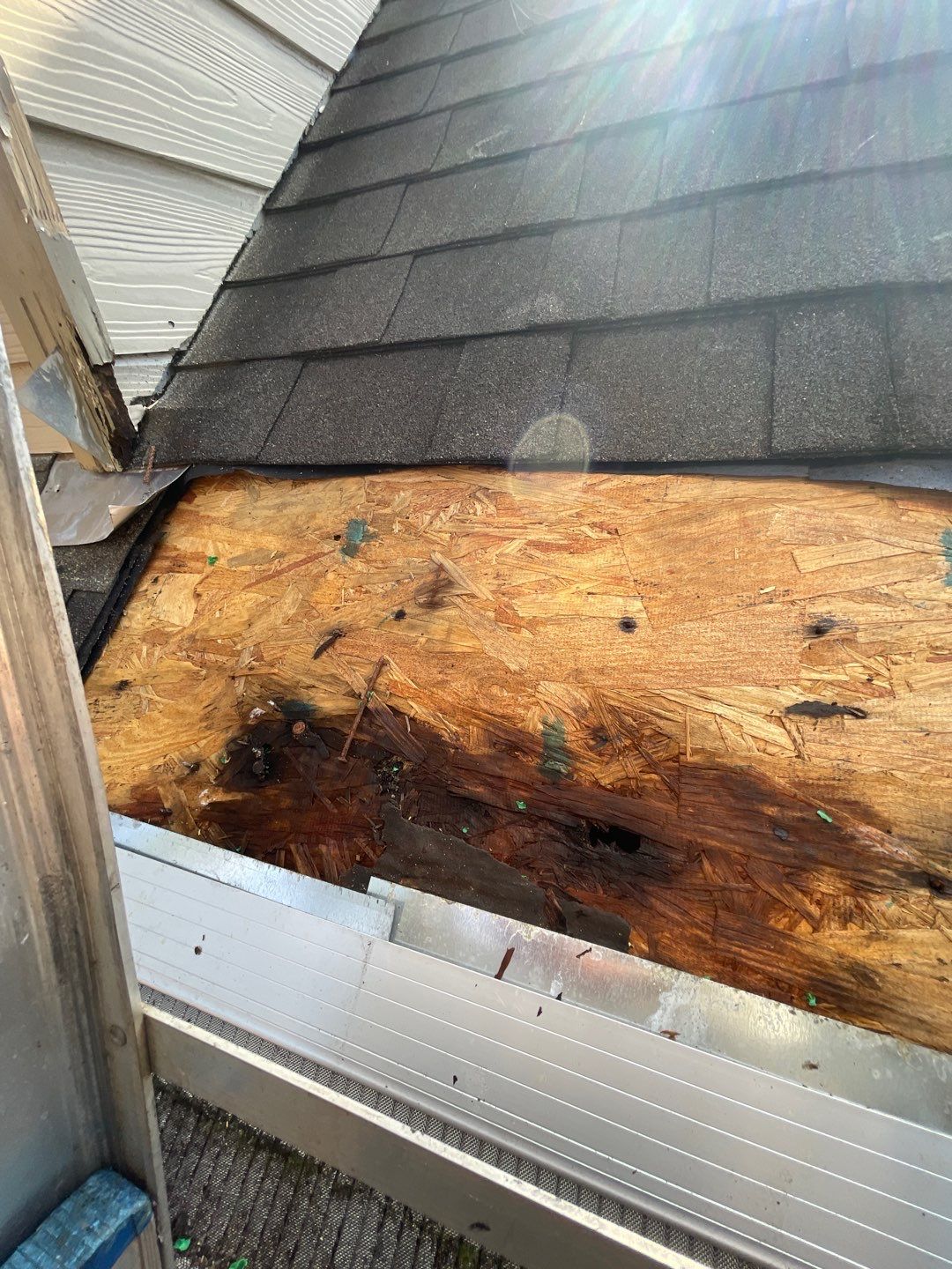 Don’t Wait to Fix a Leak! 🛠️ by Georgia Roof Advisors