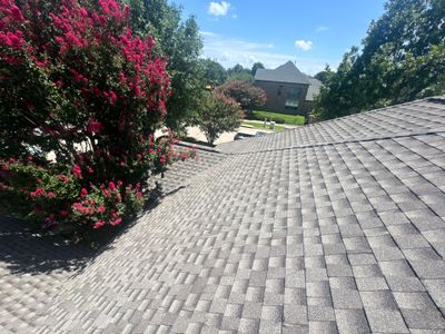 Project in Sachse 