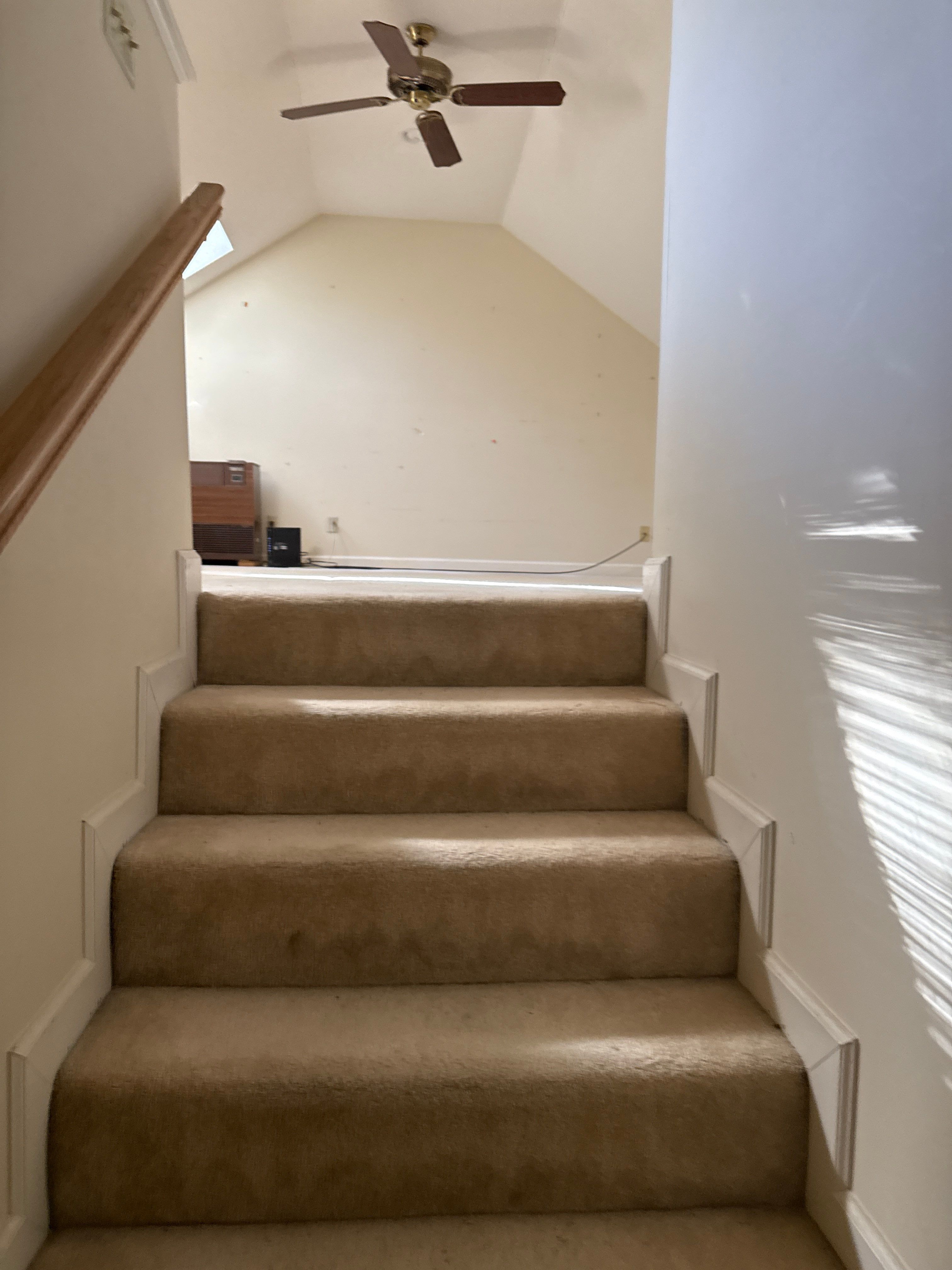 Sleepy Terrapin by TC Construction LLC