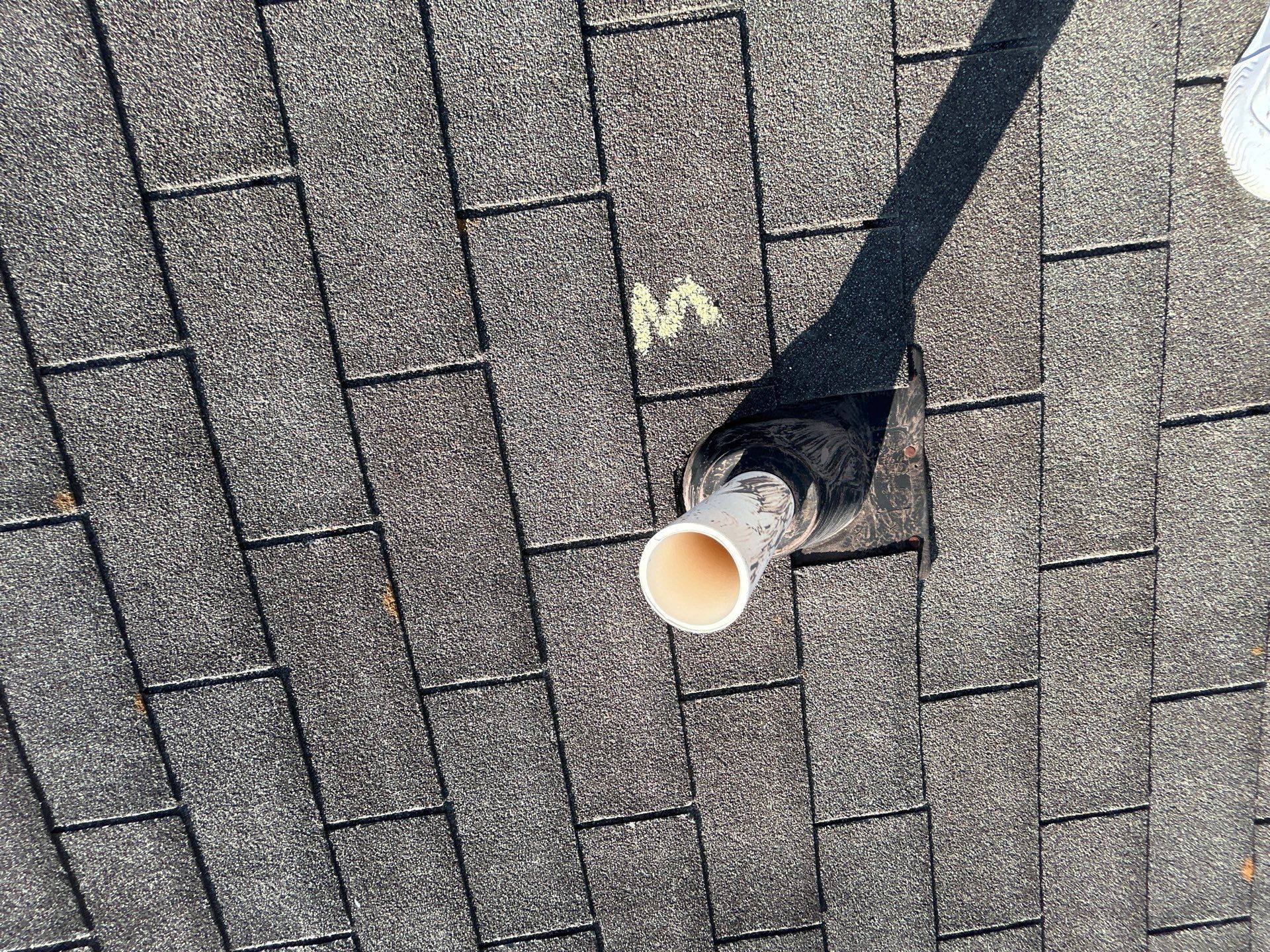 Miss Bridgette by REPS OF TEXAS