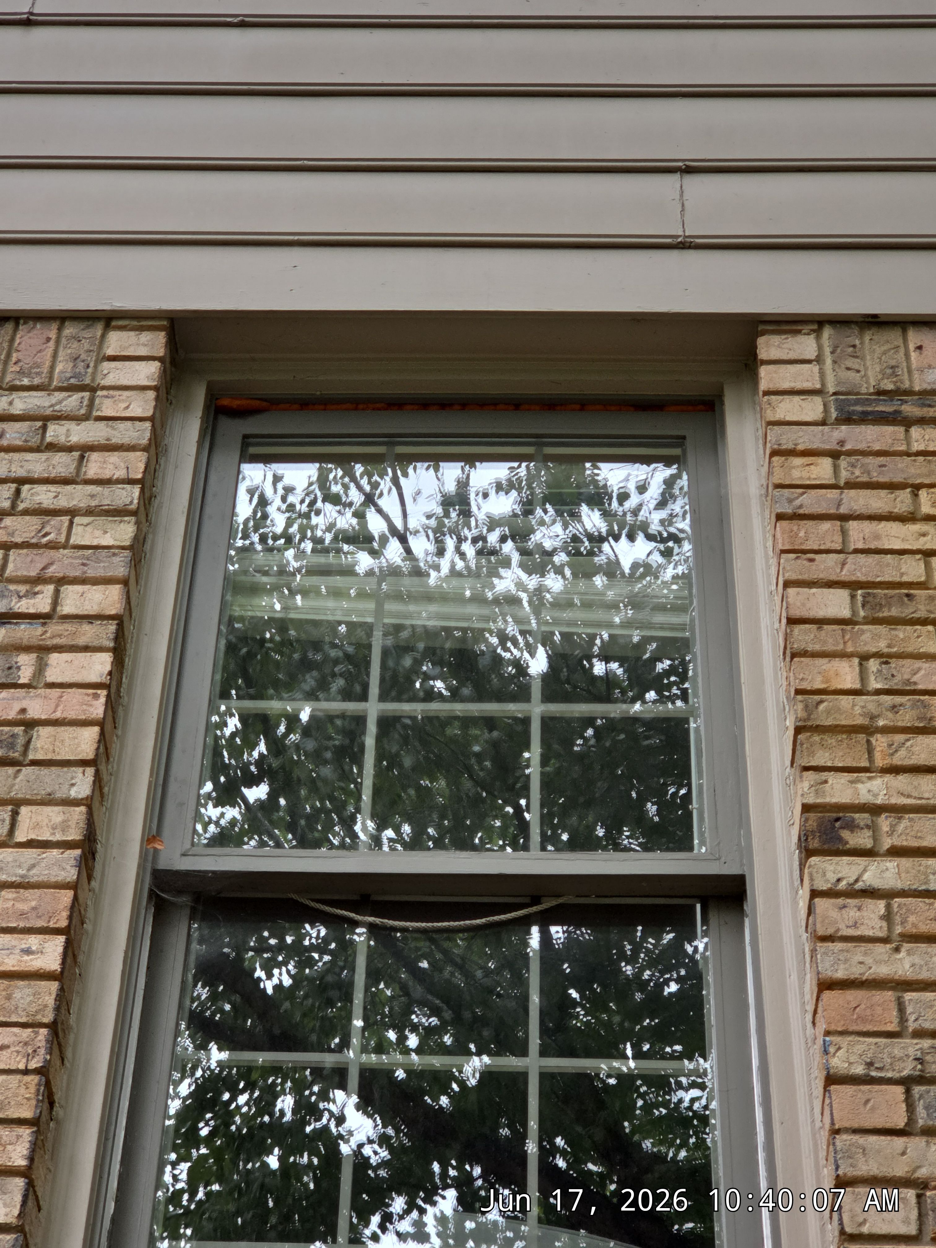 Walker Project in Vestavia by The Window Source