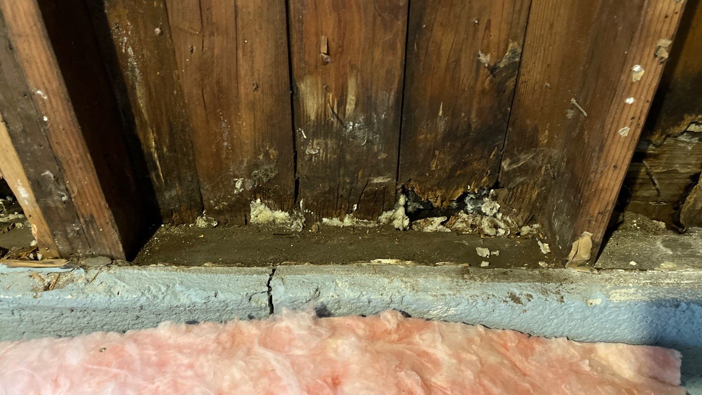 Water Damage by G2