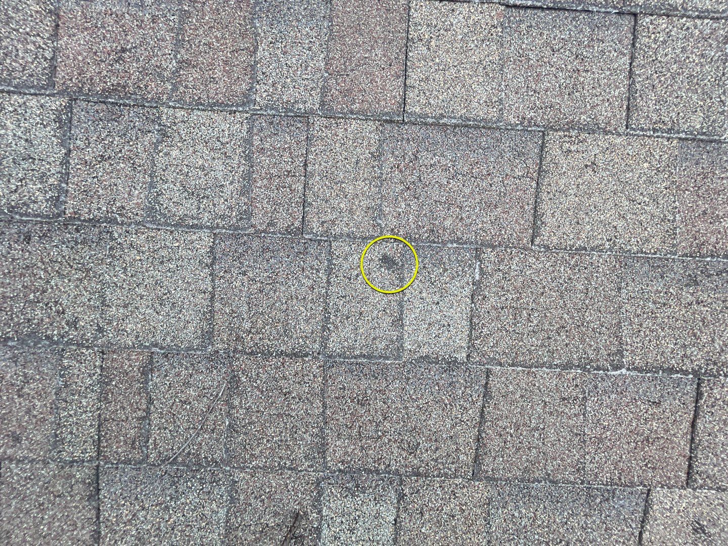 Roof Damage using Owens Corning Duration Storm by 317 Roofing & Restorations