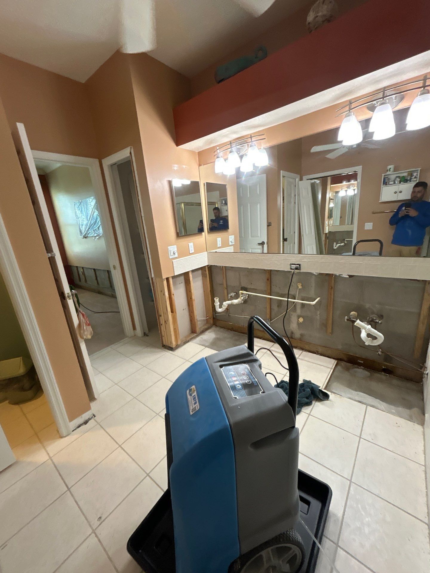 Mold Removal & Remediation  by Ampm Restoration Services 