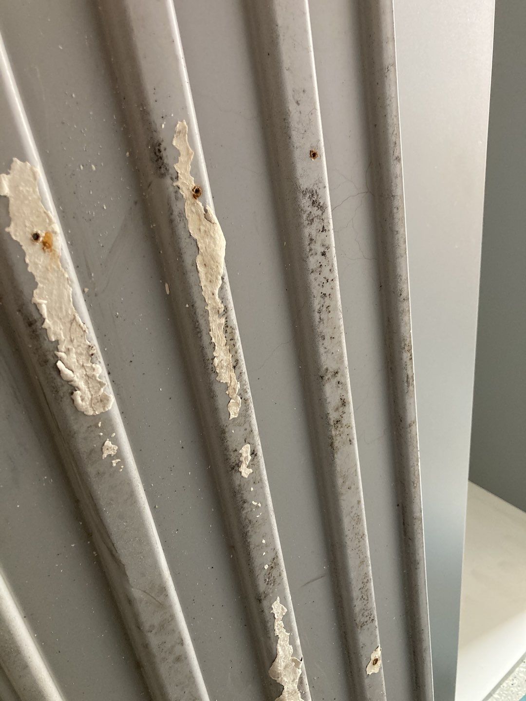 Mold Remediation using Containment by Accountable Home Services