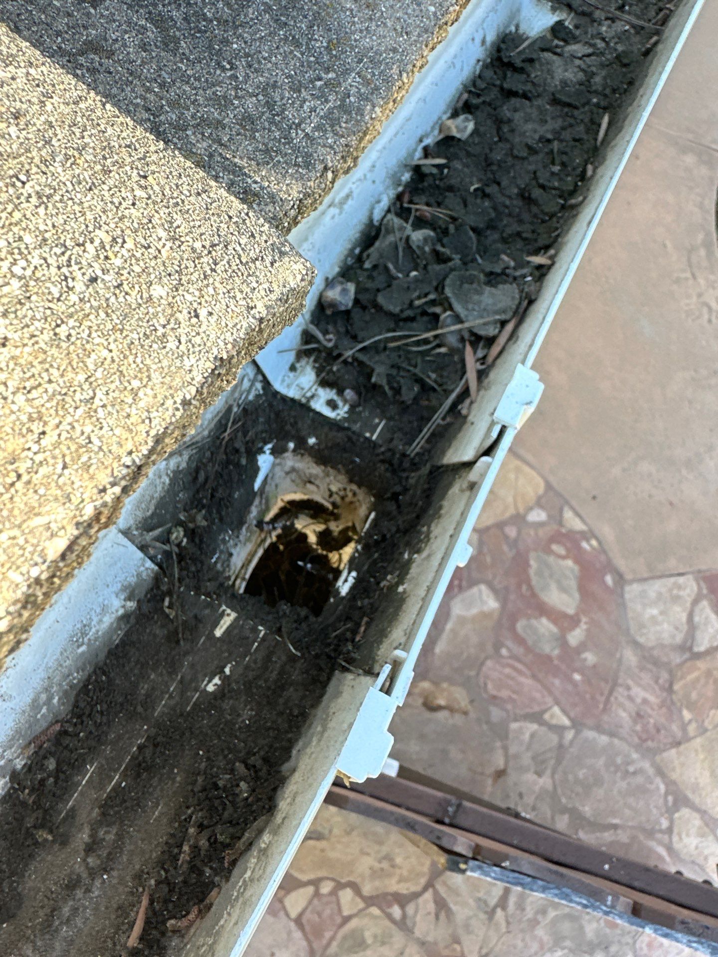 House Washing, Concrete Cleaning, and Window Washing with a Side of Gutters by Property Cleaning Experts