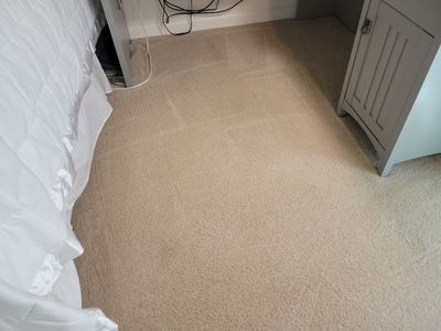 Mildew Treatment, Remove & Replace Padding