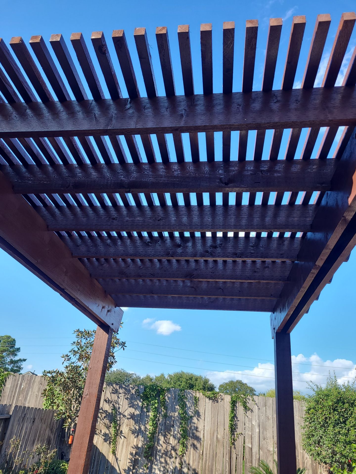 Pergola using Sophalx Crew by SophAlx LLC