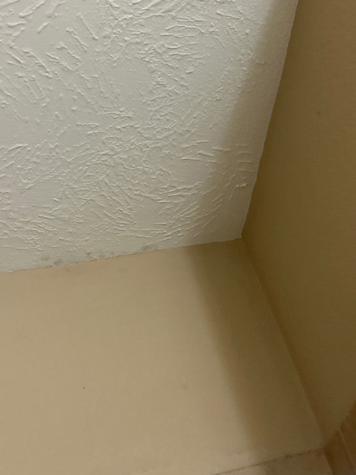 Hail Damage using Owen's Corning Duration (Lifetime) Shingles by Roof Repair Company