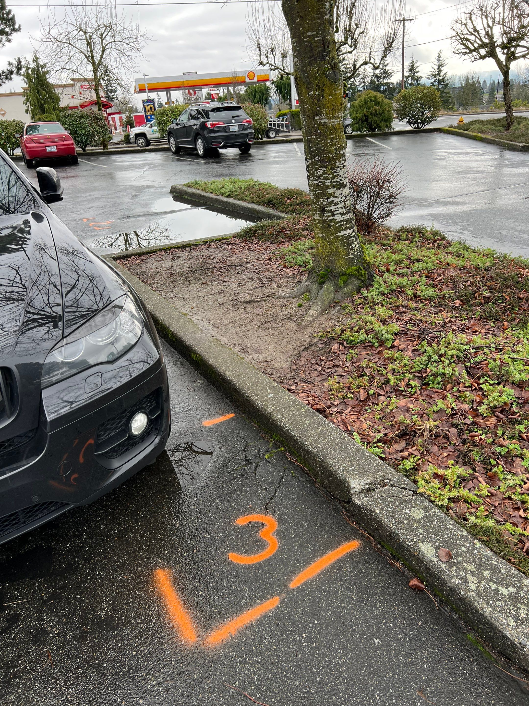 Amanda | Concrete Curb by Jireh Asphalt & Concrete Inc 