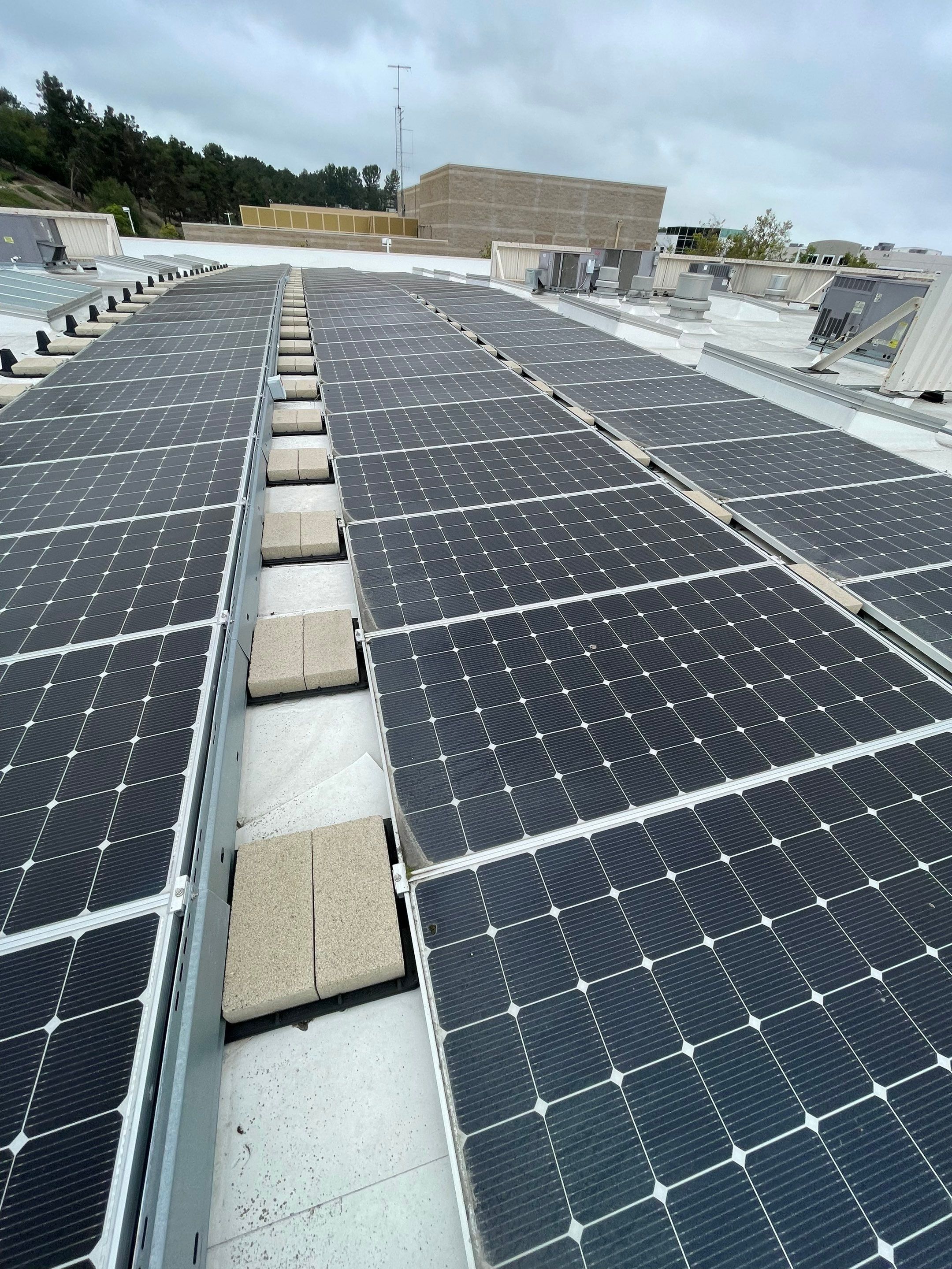 Commercial Solar Cleaning by Palm Coast Solar Cleaning