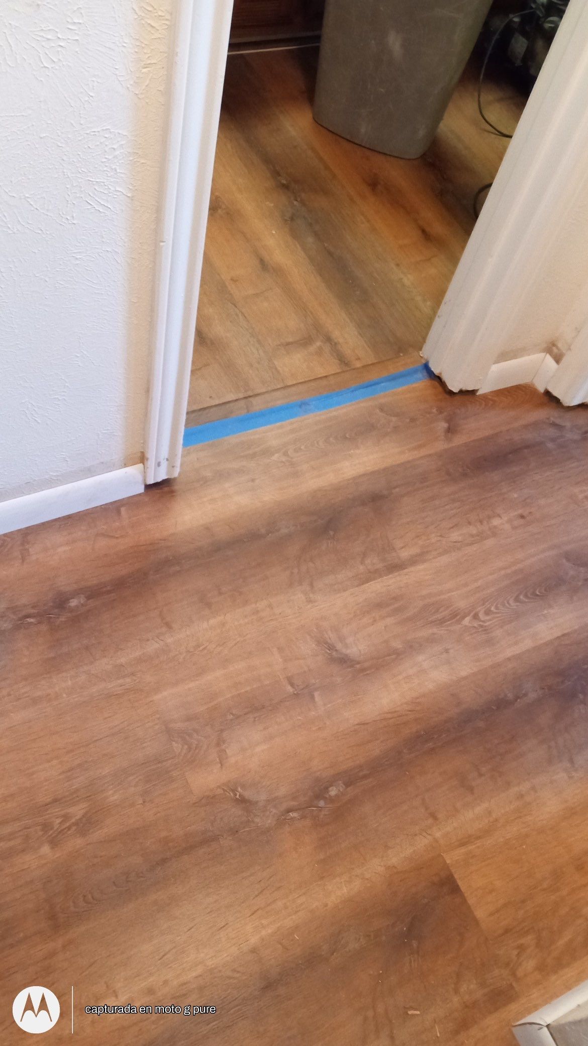From Carpet to Pet Friendly Master BR by Bernard Hardwood Floors