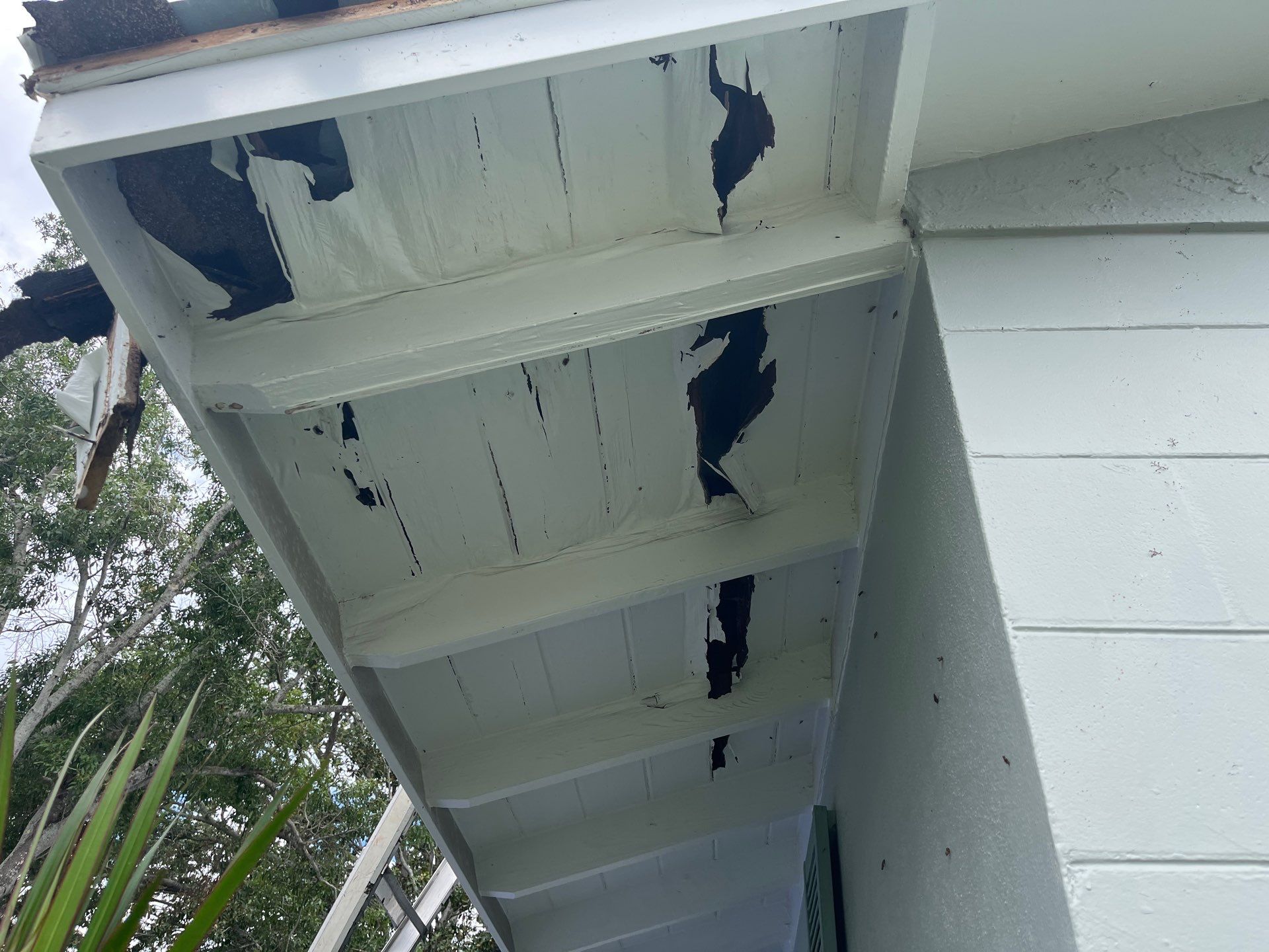 Project in St. Petersburg 33714 by Mitchell Roofing Company LLC
