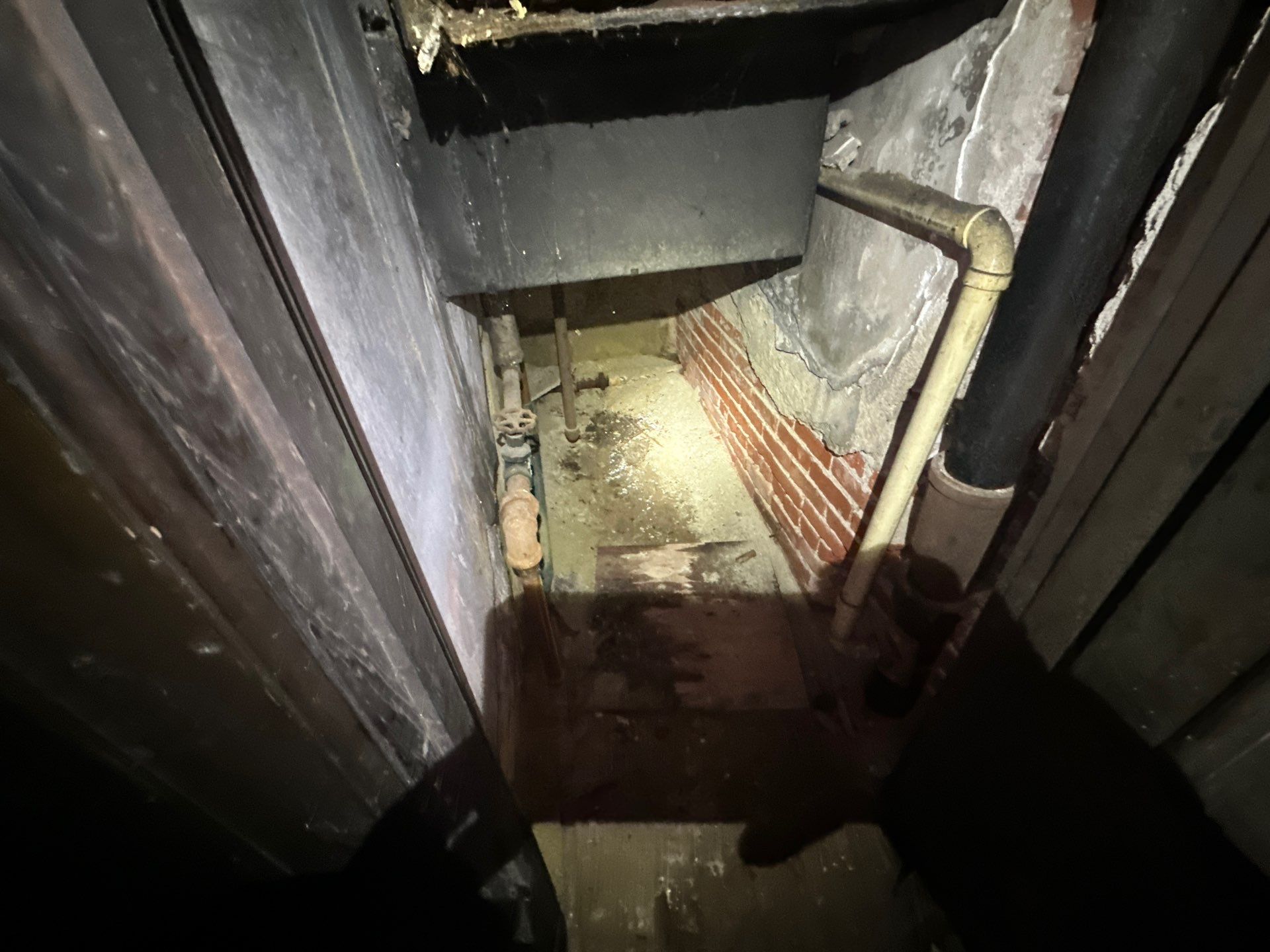 Historic Tudor Home Mold Remediation and Structural Cleanup in Steubenville by Home Environment Solutions