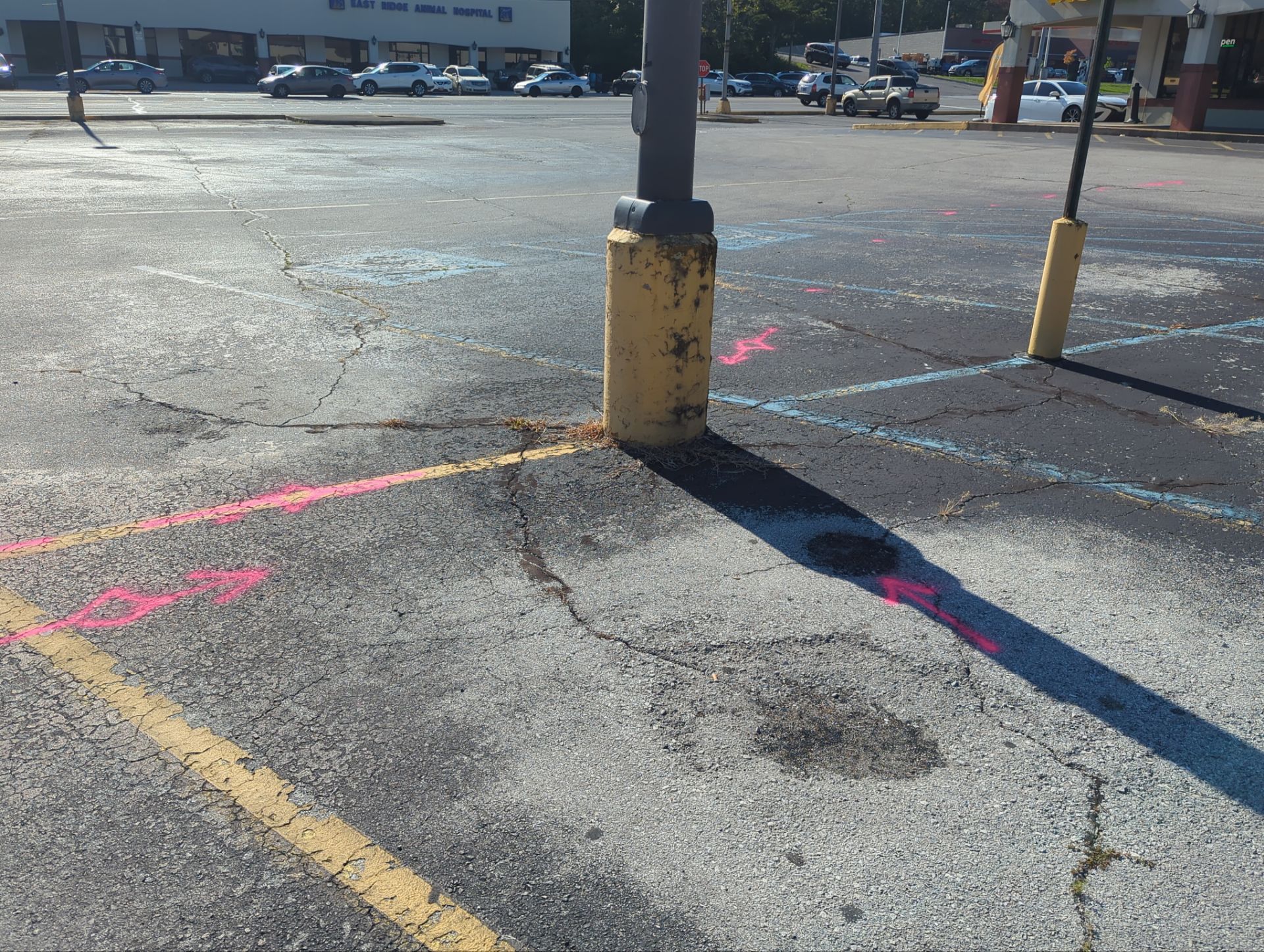 Parking Lot Utility Locate / GPR Investigation by Alsip Locating Service, LLC