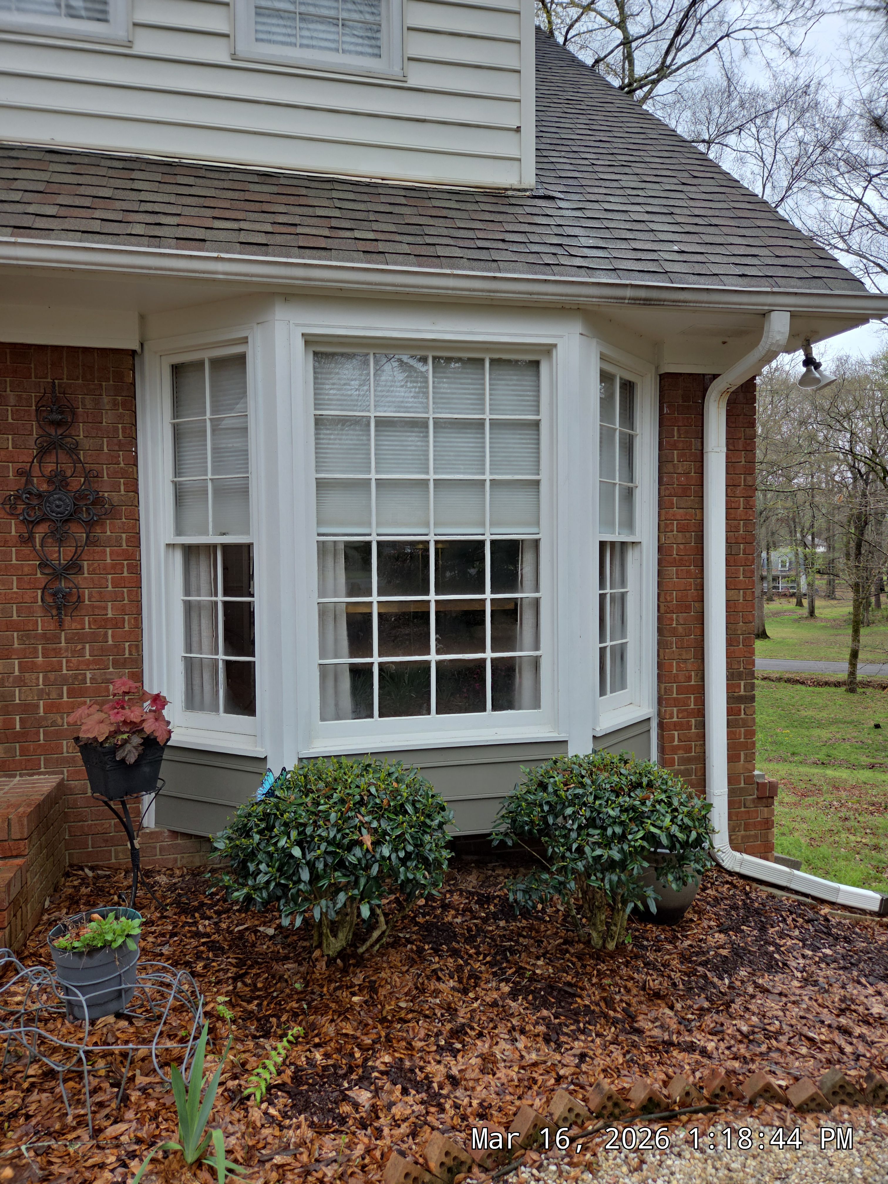 Bemis Project in Indian Springs by The Window Source