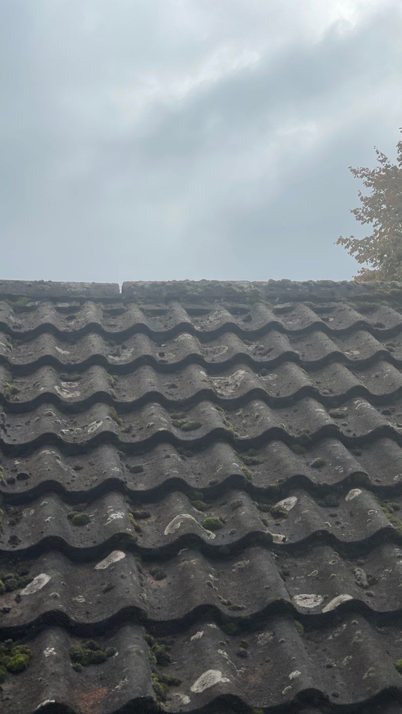 Roof Clean and Biocide Treatment using Honda 15lpm Low Pressure Washing Machine by Ges Exterior Cleaning ltd