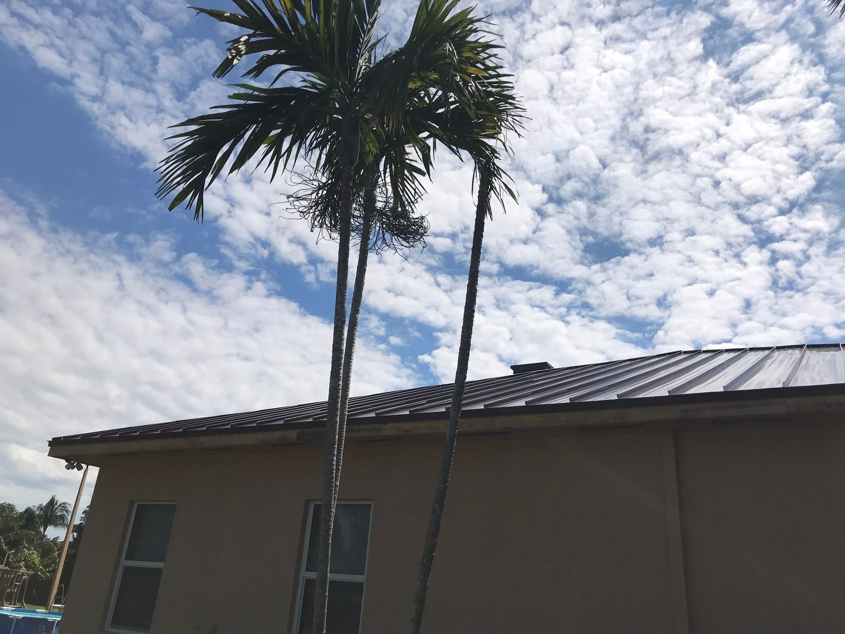 Metal Roof - Galvalume - Mansard Brown by Istueta Roofing