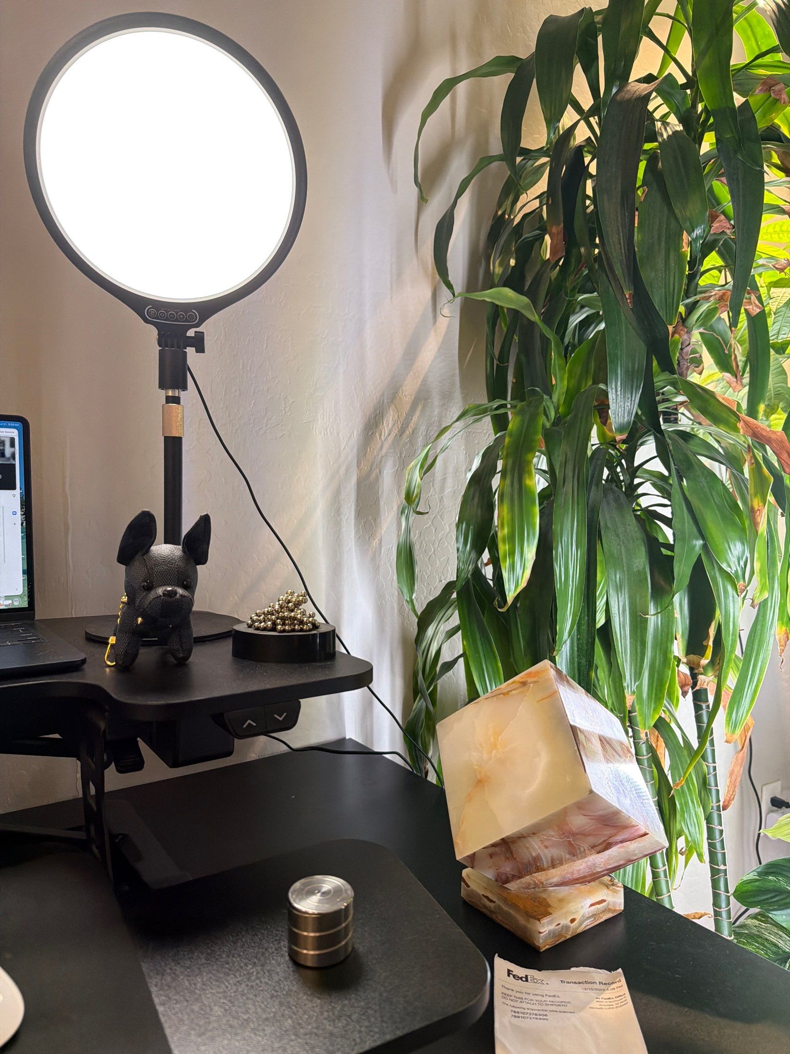 Indoor Plant and Lighting Setup for Phoenix Home Office by CompanyCam Sales Demo
