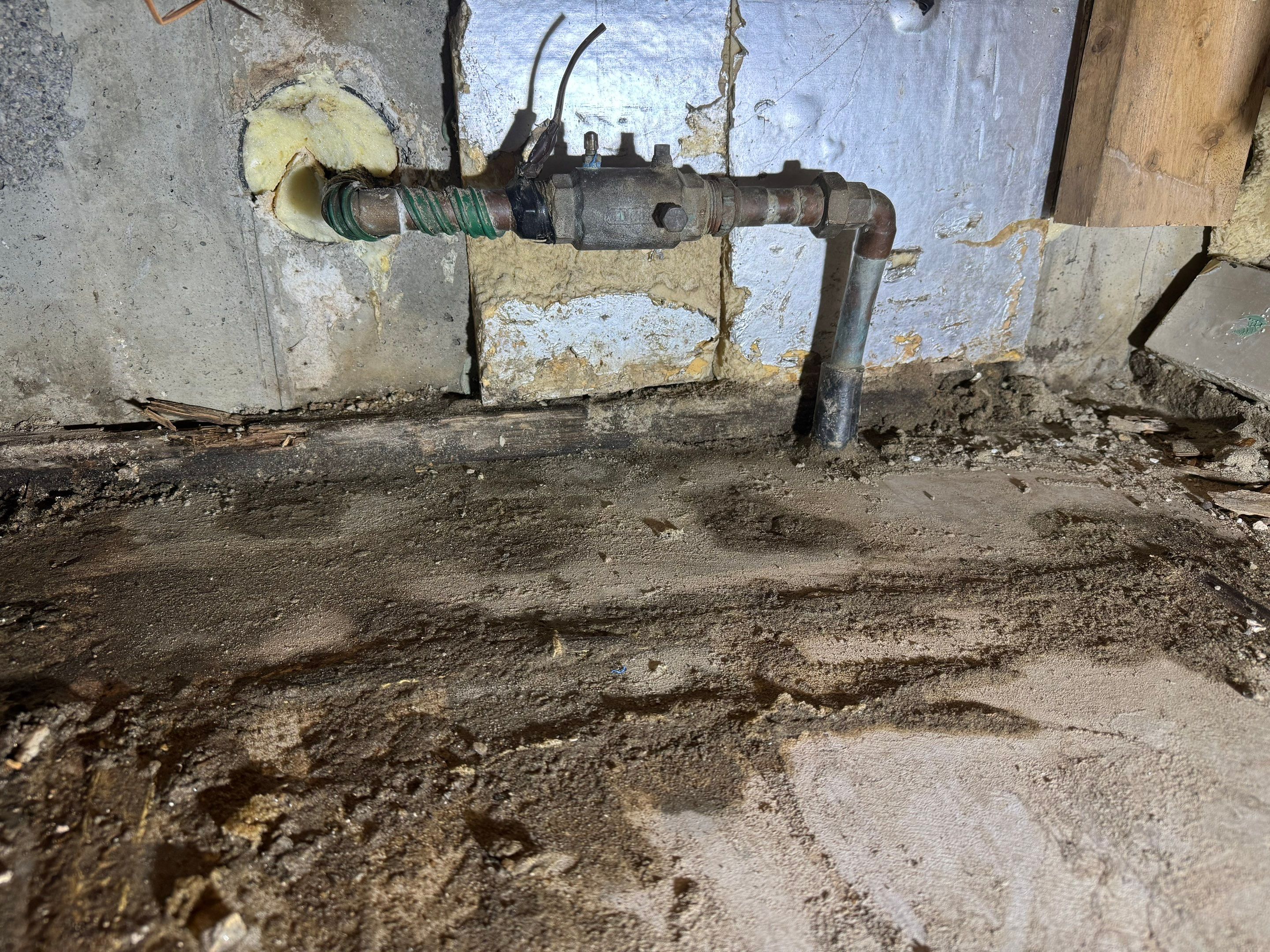 Major Basement Remediation / Restoration by Home Guarantee, LLC